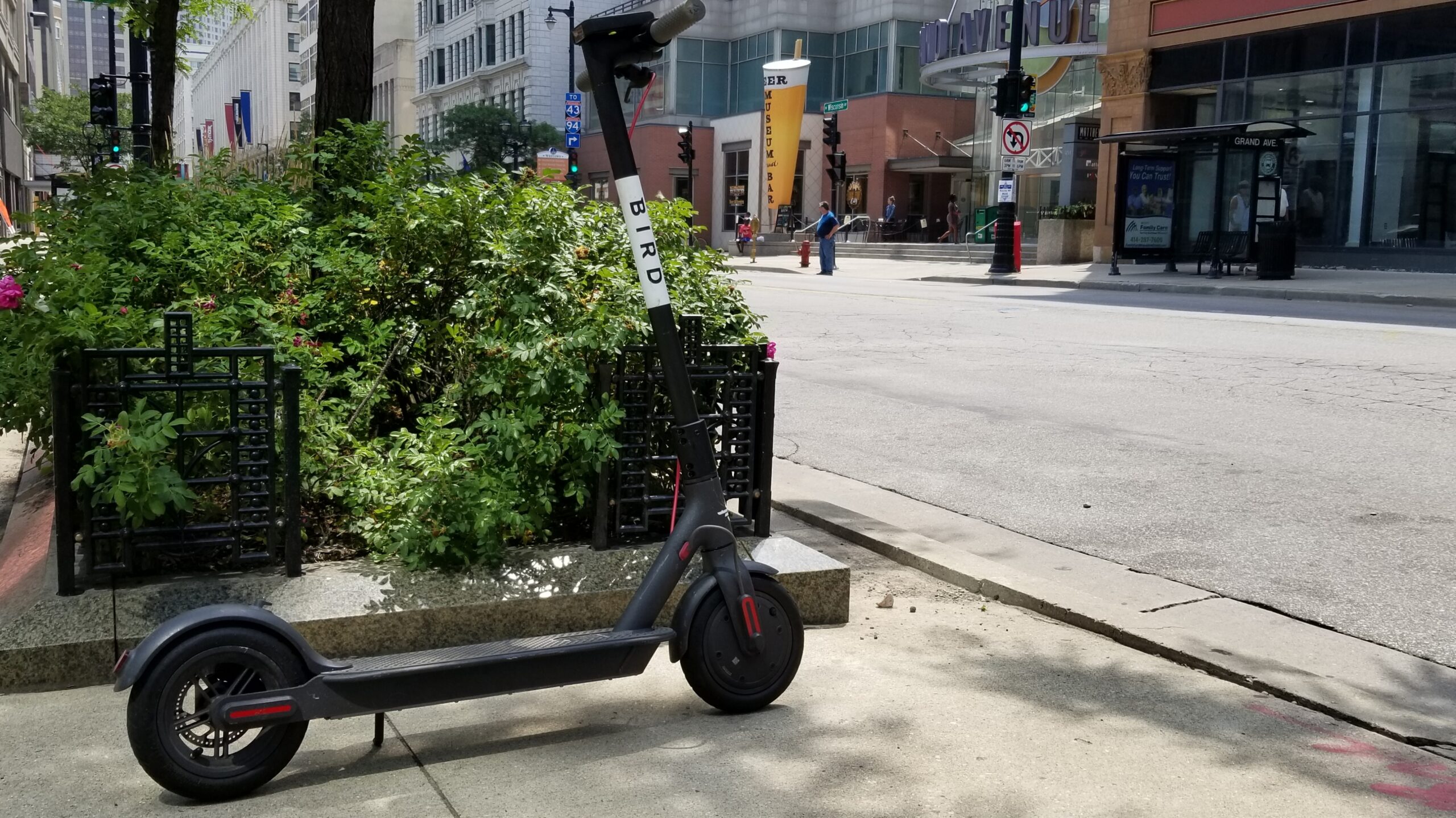 Bird Rides Inc. dockless electric scooter