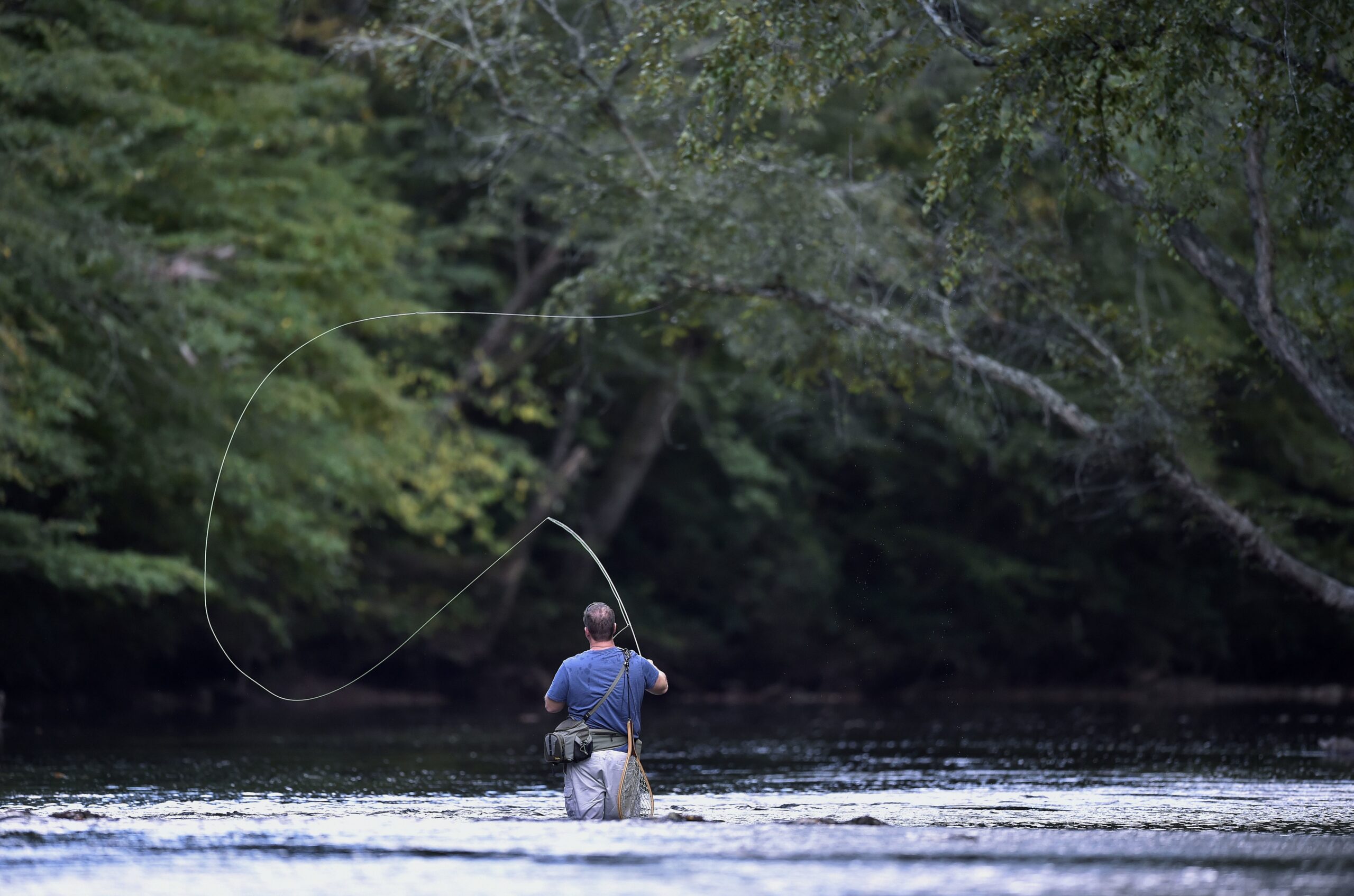 Study Shows Trout Fishing Boosts Local Economies