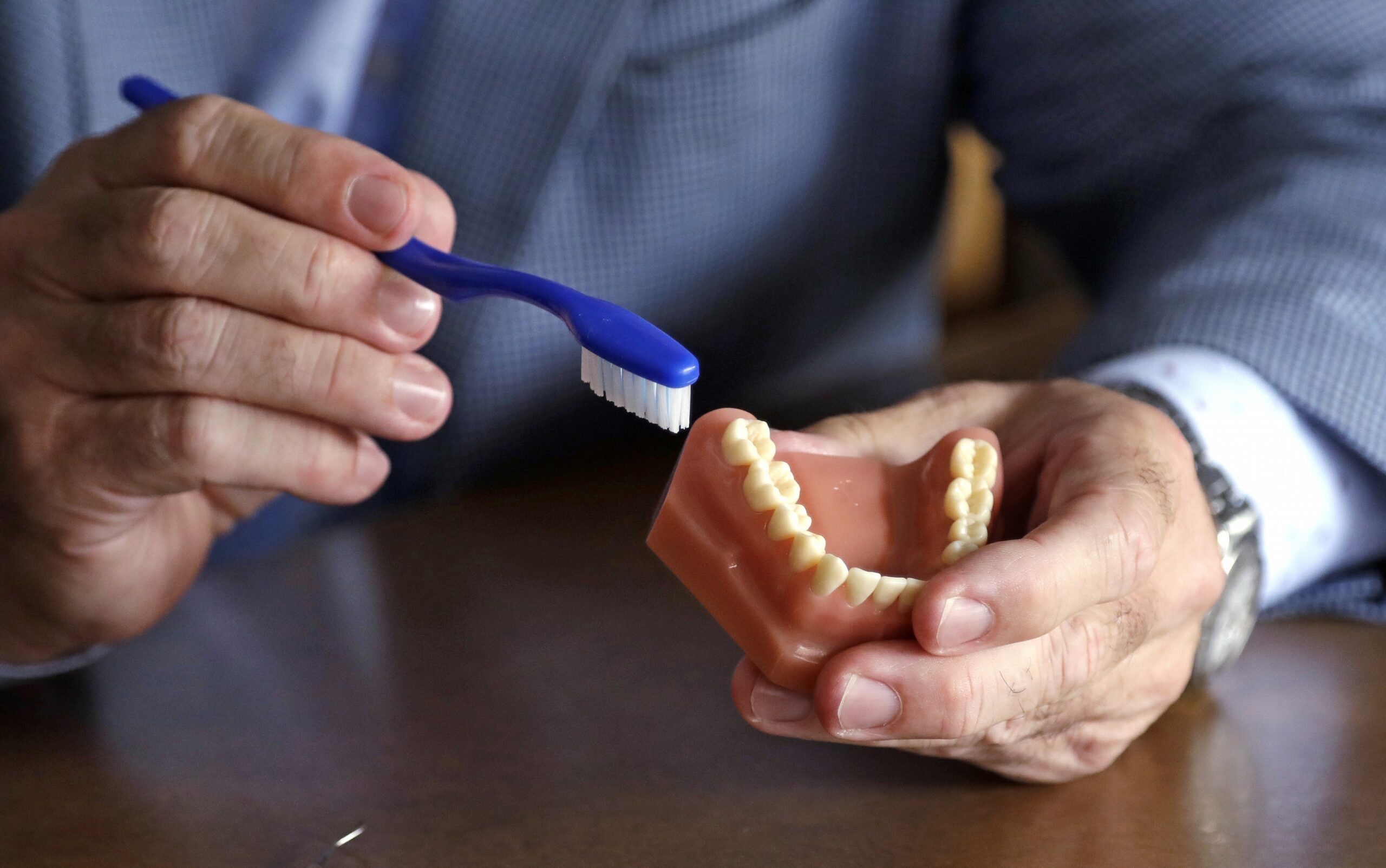 Dentist holds a model of teeth and a toothbrush