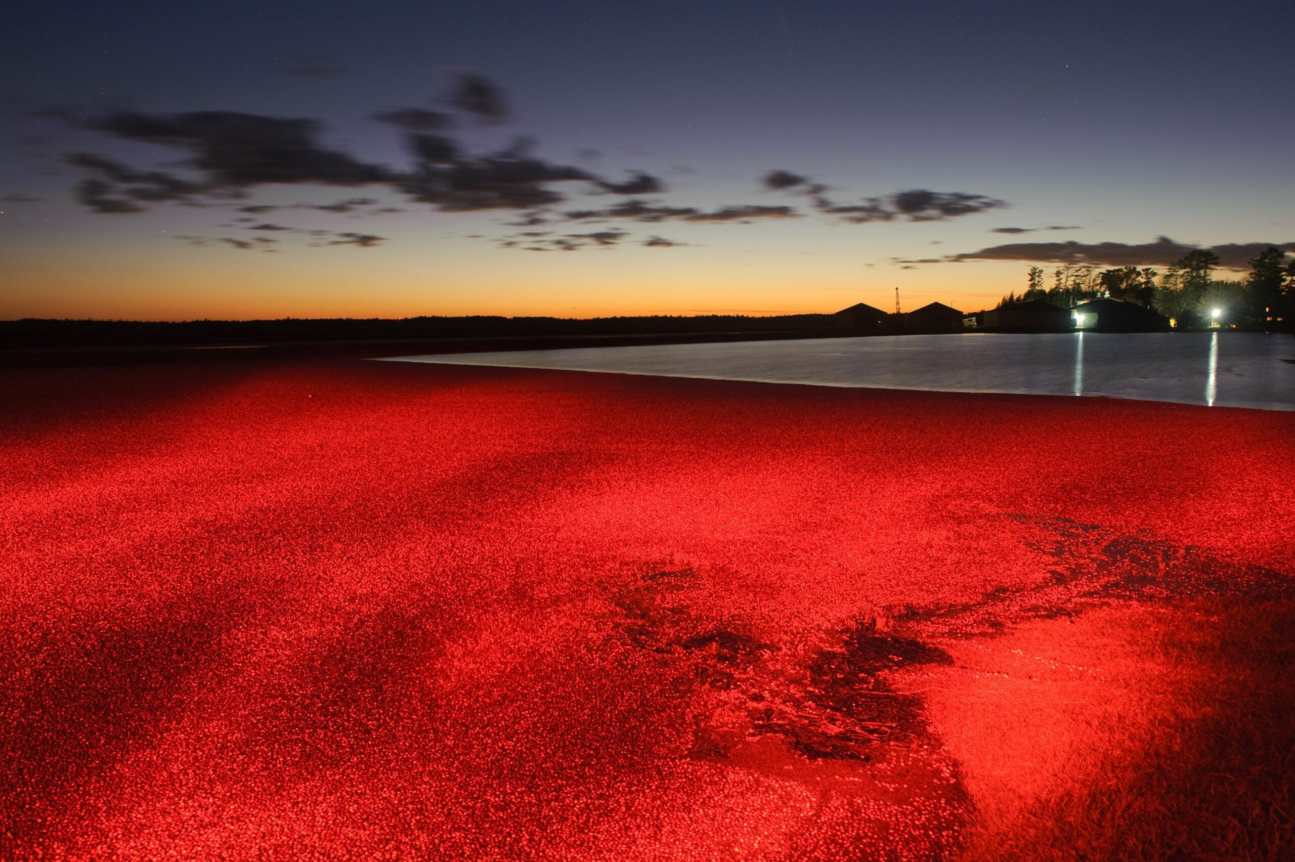 Light Painted Marsh.