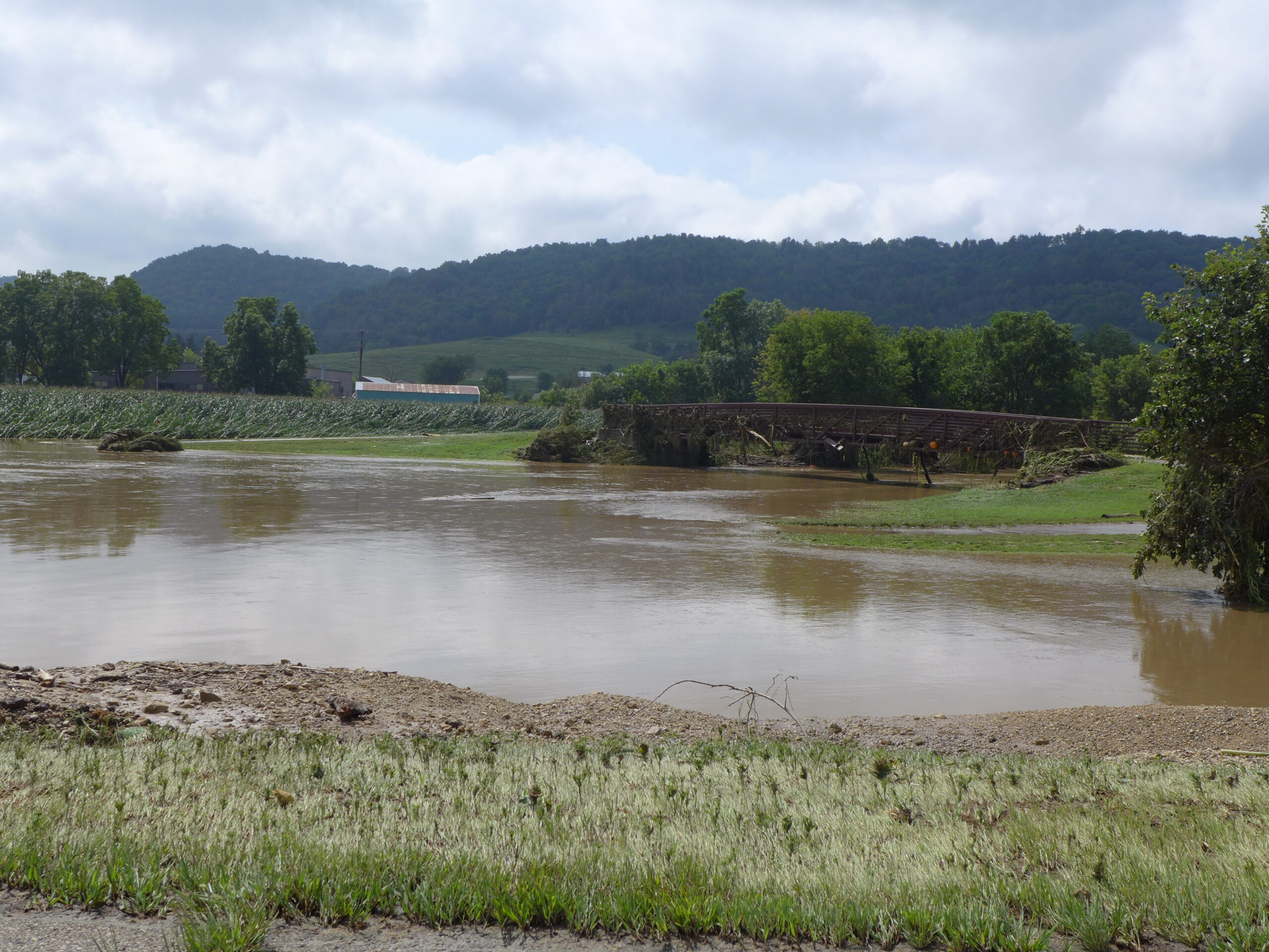 A flooded Coon Creek overflows onto Coon Valley Veterans Memorial Park