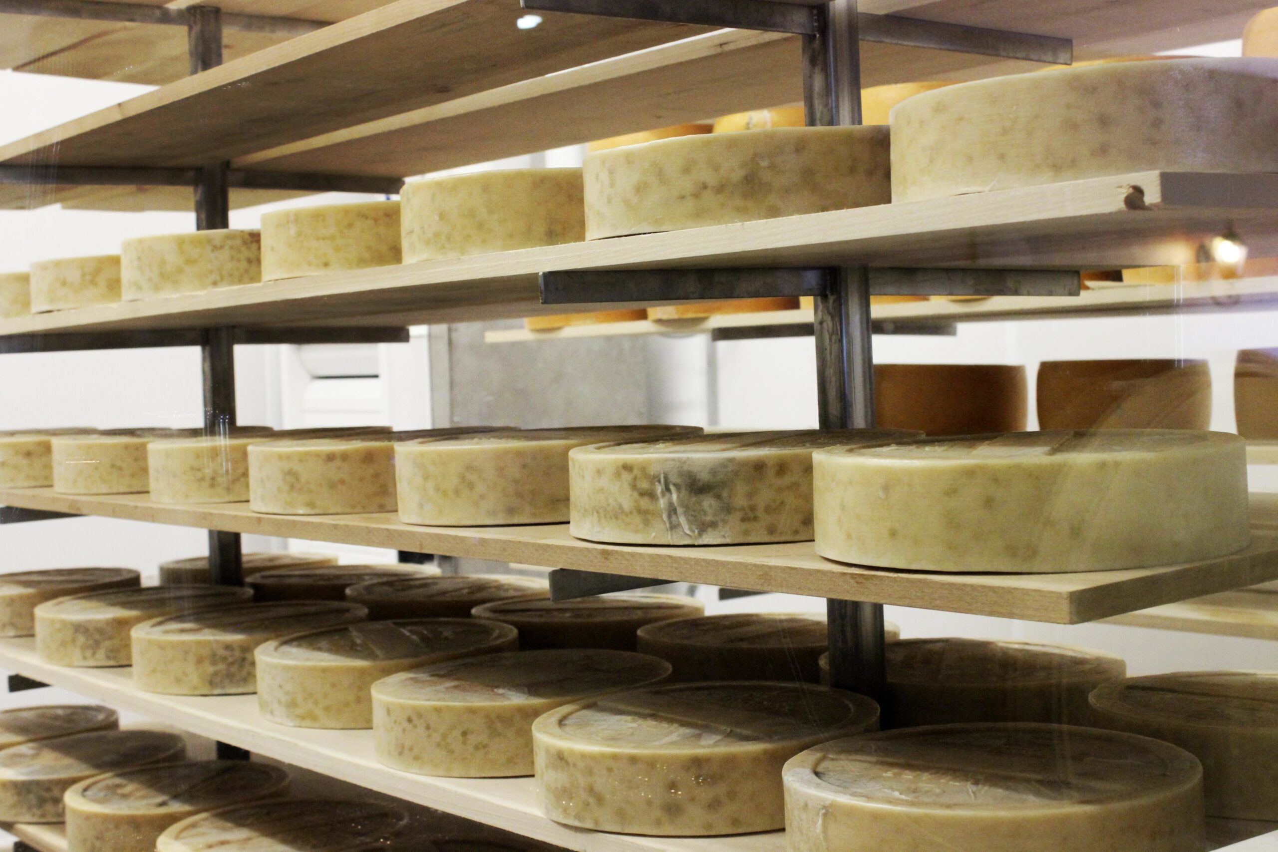 Wisconsin’s Specialty Cheesemakers May Be Better Off Than Other States