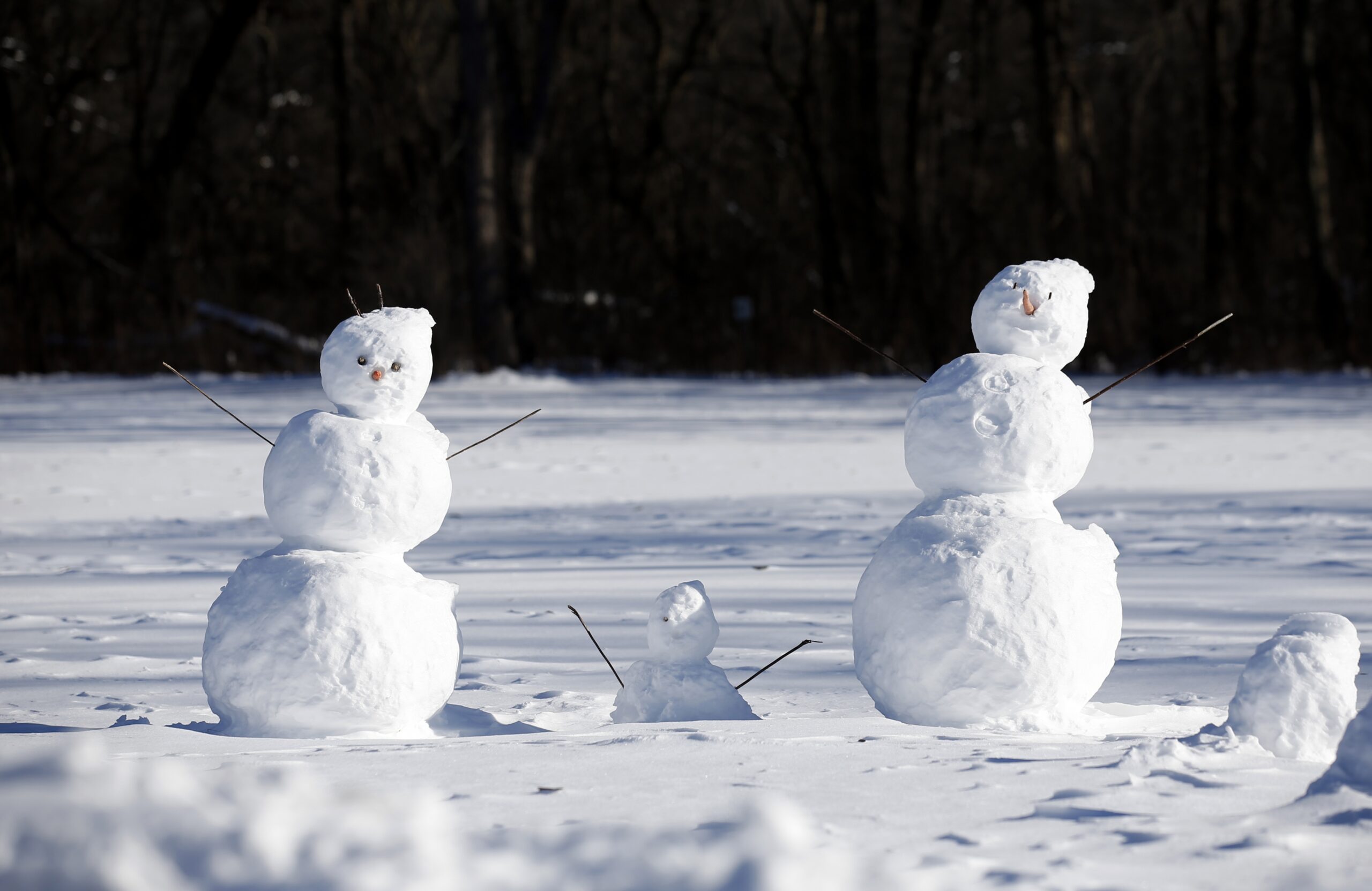 Snowmen family