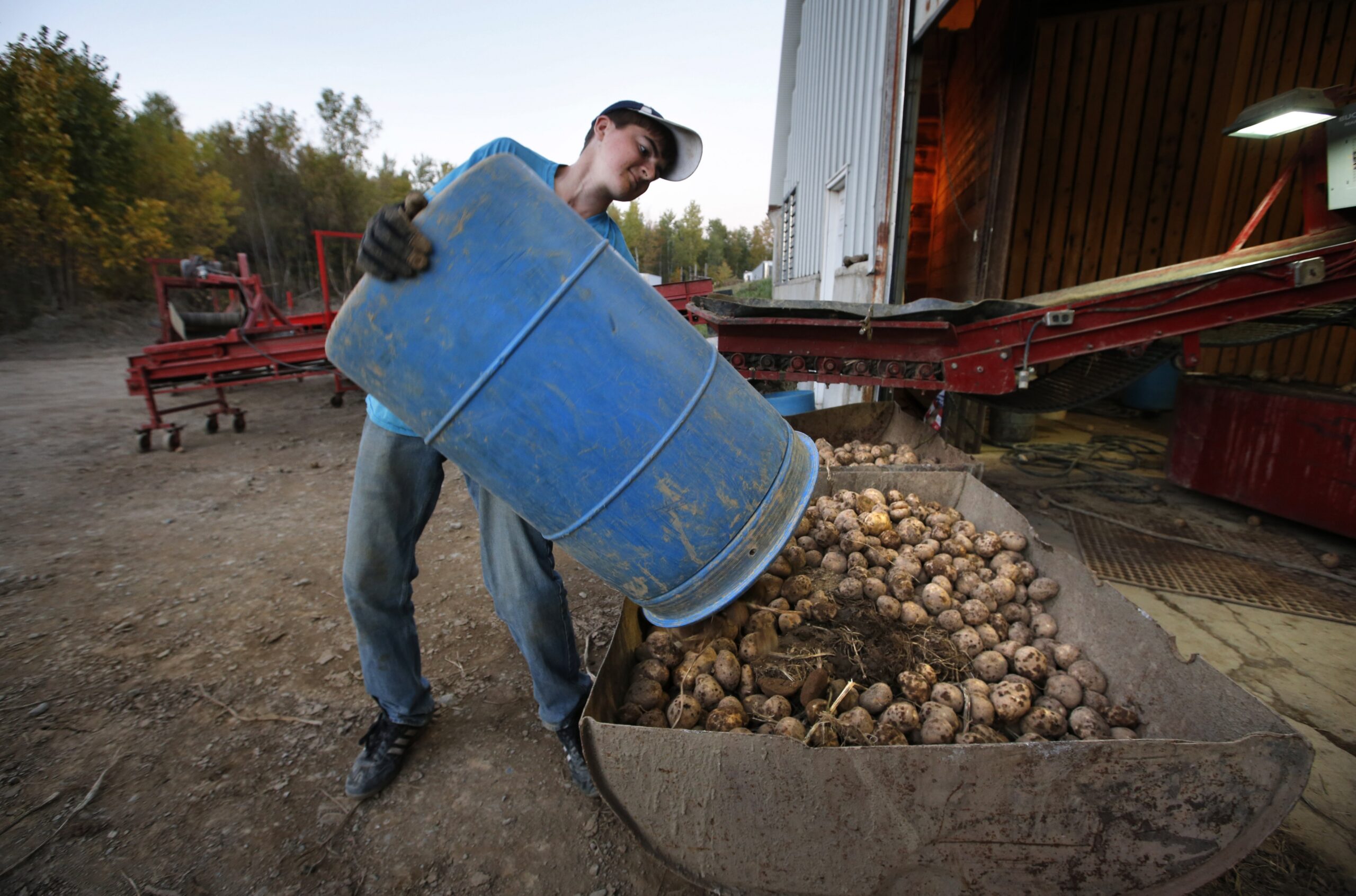 Wisconsin Potato Growers Face New Restrictions To Prevent Crop Disease
