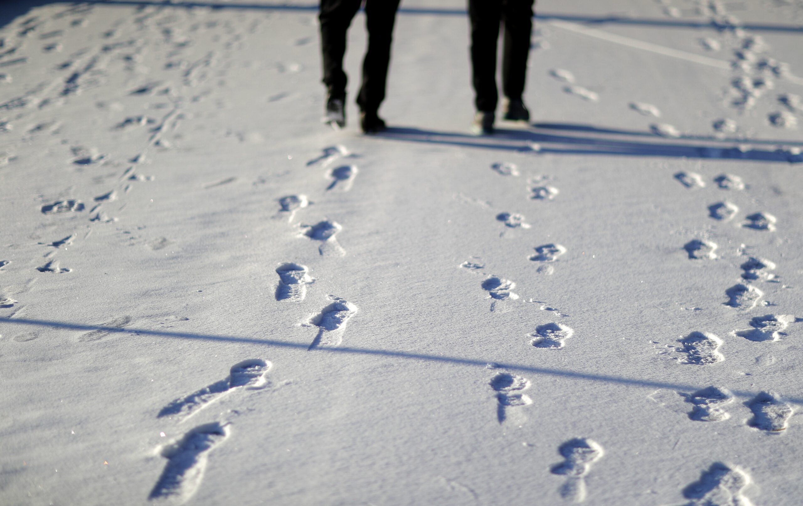 A couple walks through a winter snow covered Piedmont Park