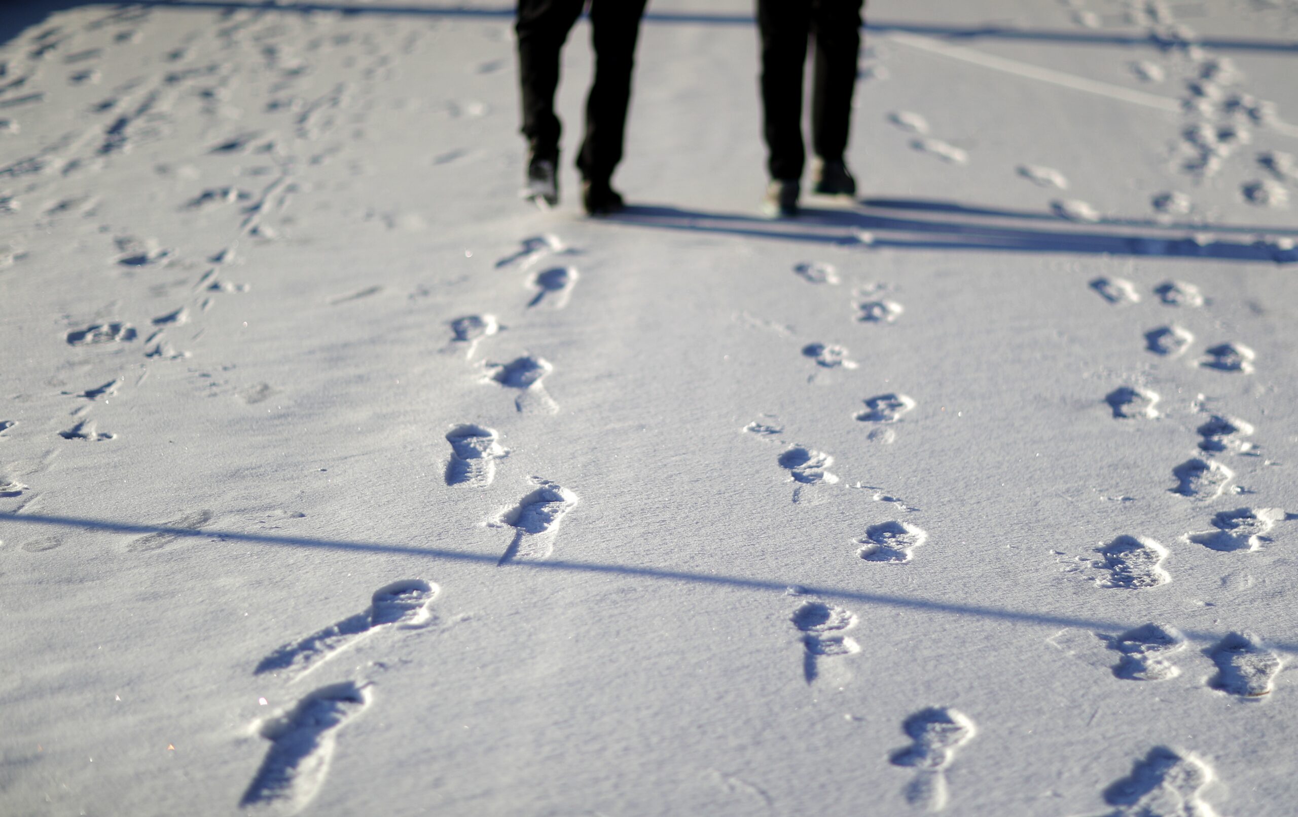 A couple walks through a winter snow covered Piedmont Park