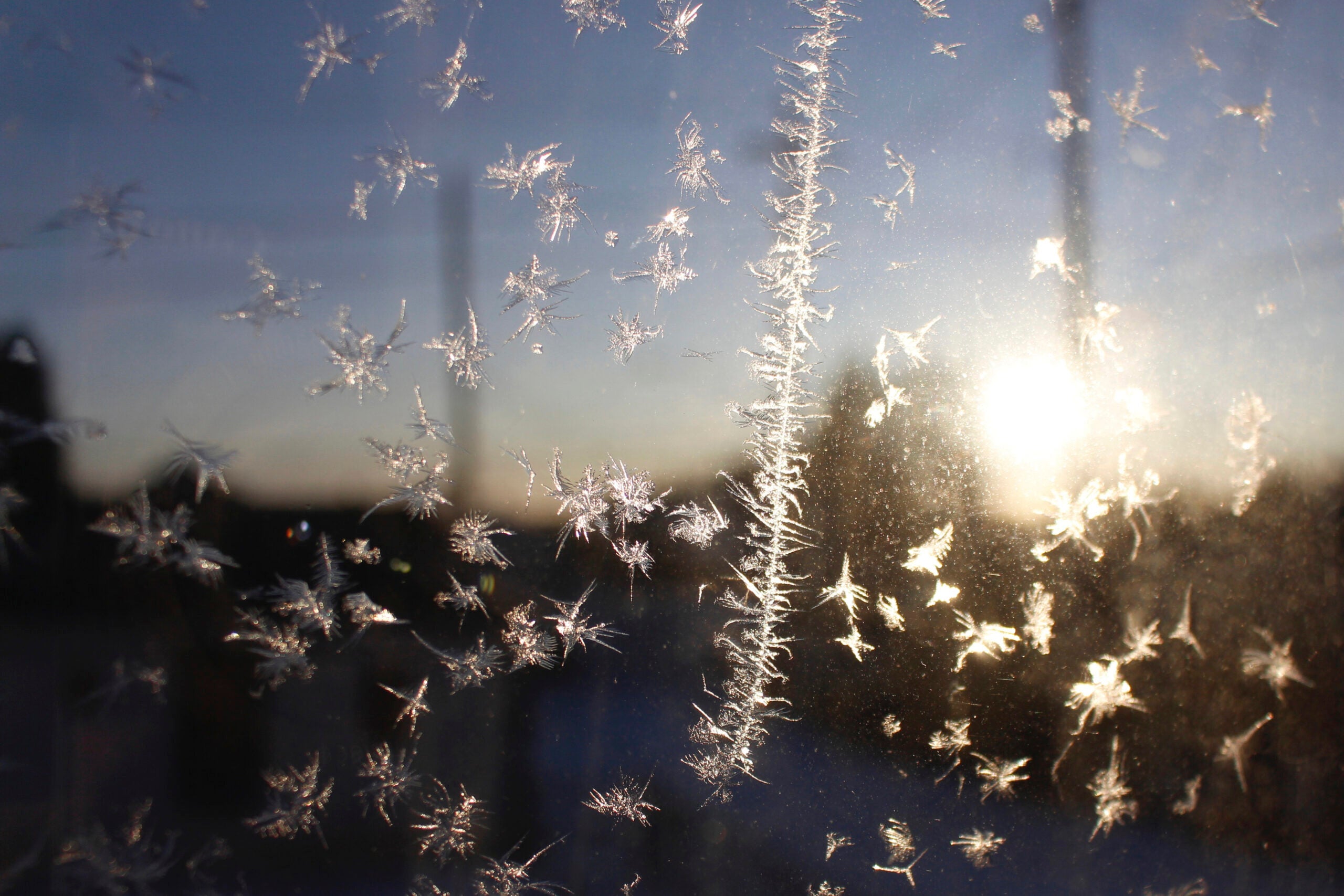 Ice forms on a window