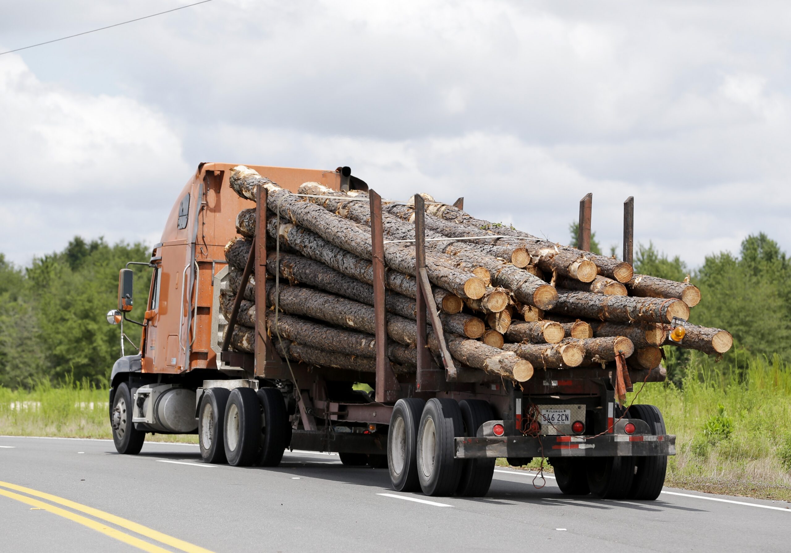 a truck load of logs heads to the Klausner lumber mill