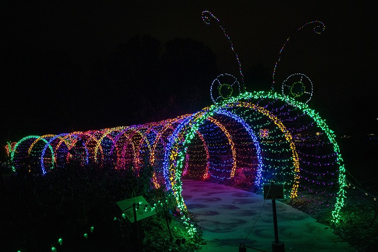 Caterpillar light display at the Green Bay Botanical Garden and WPS Garden of Lights display