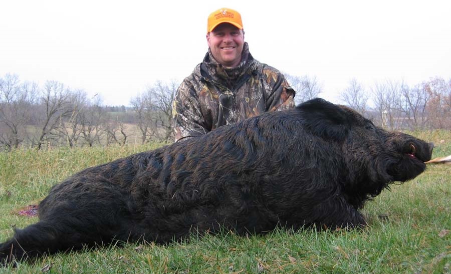 Hunter with feral pig