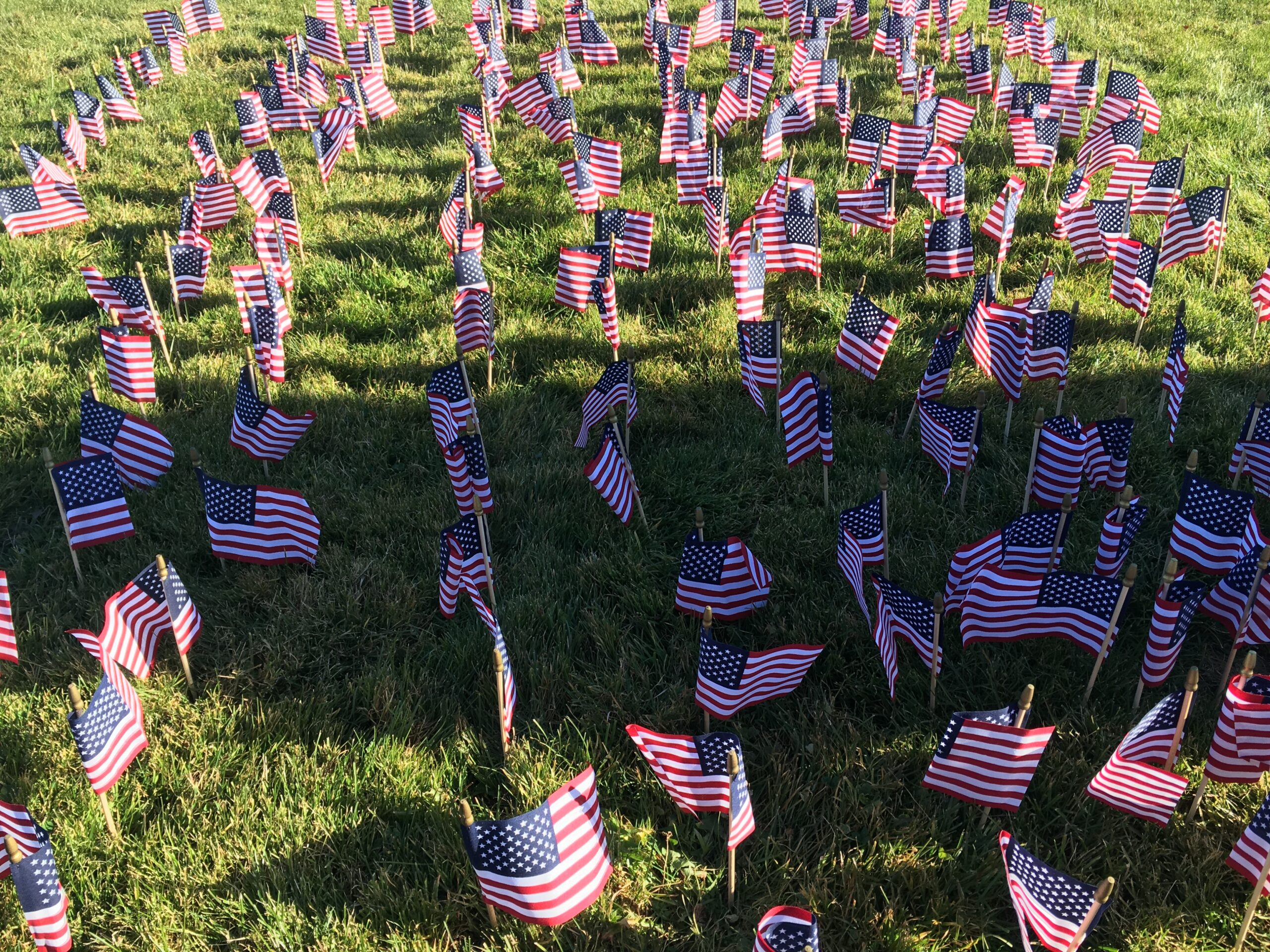 United States flags stuck in the ground