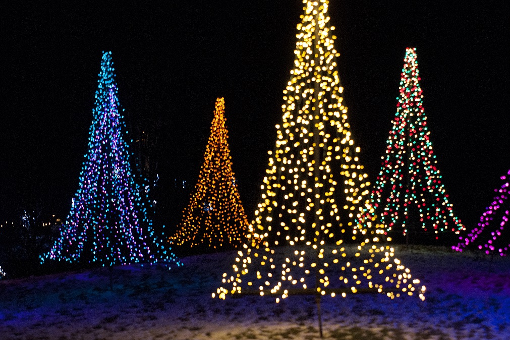 Holiday Trees at the Green Bay Botanical Garden and WPS Garden of Lights display