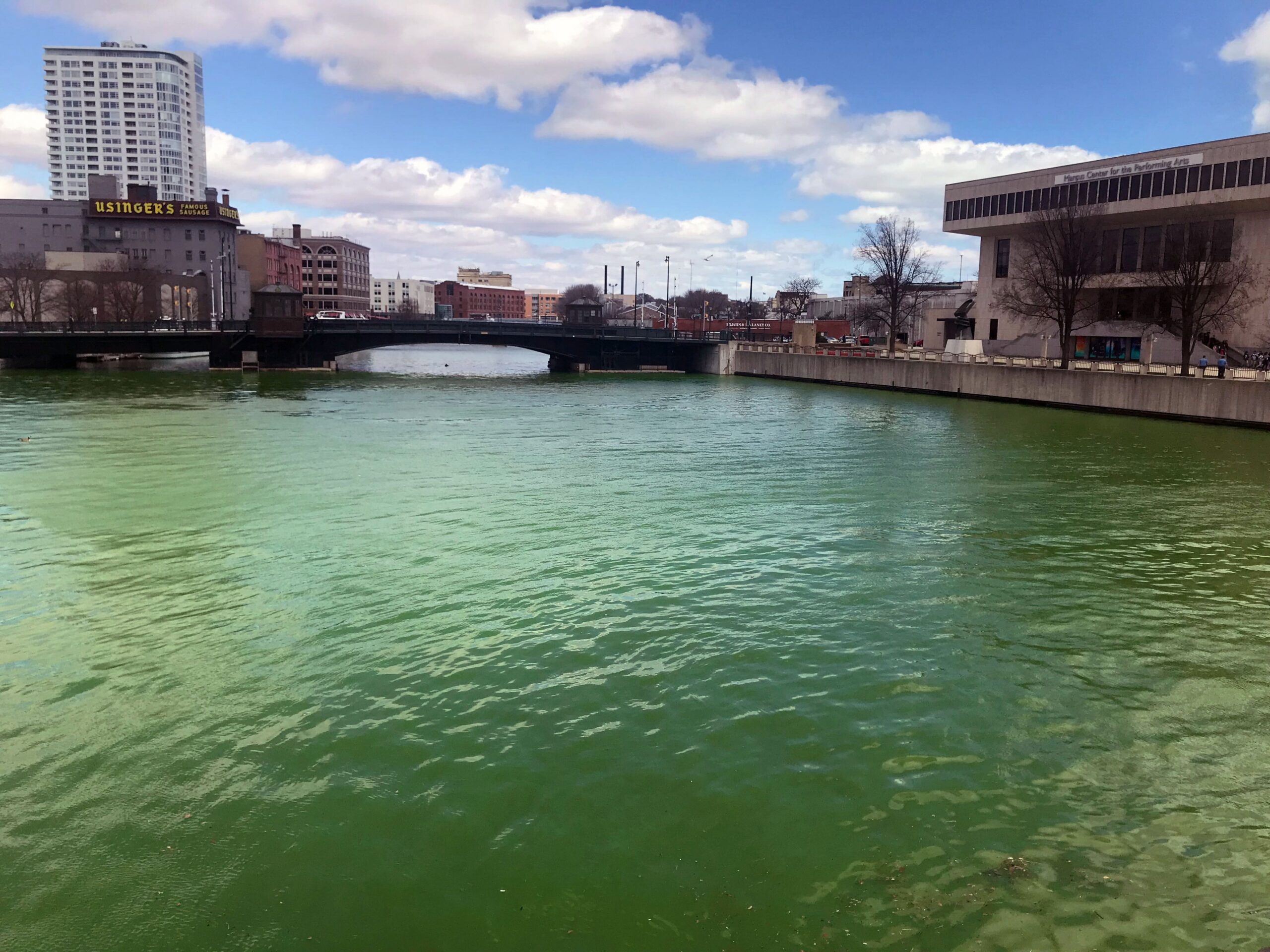 Milwaukee River dyed green