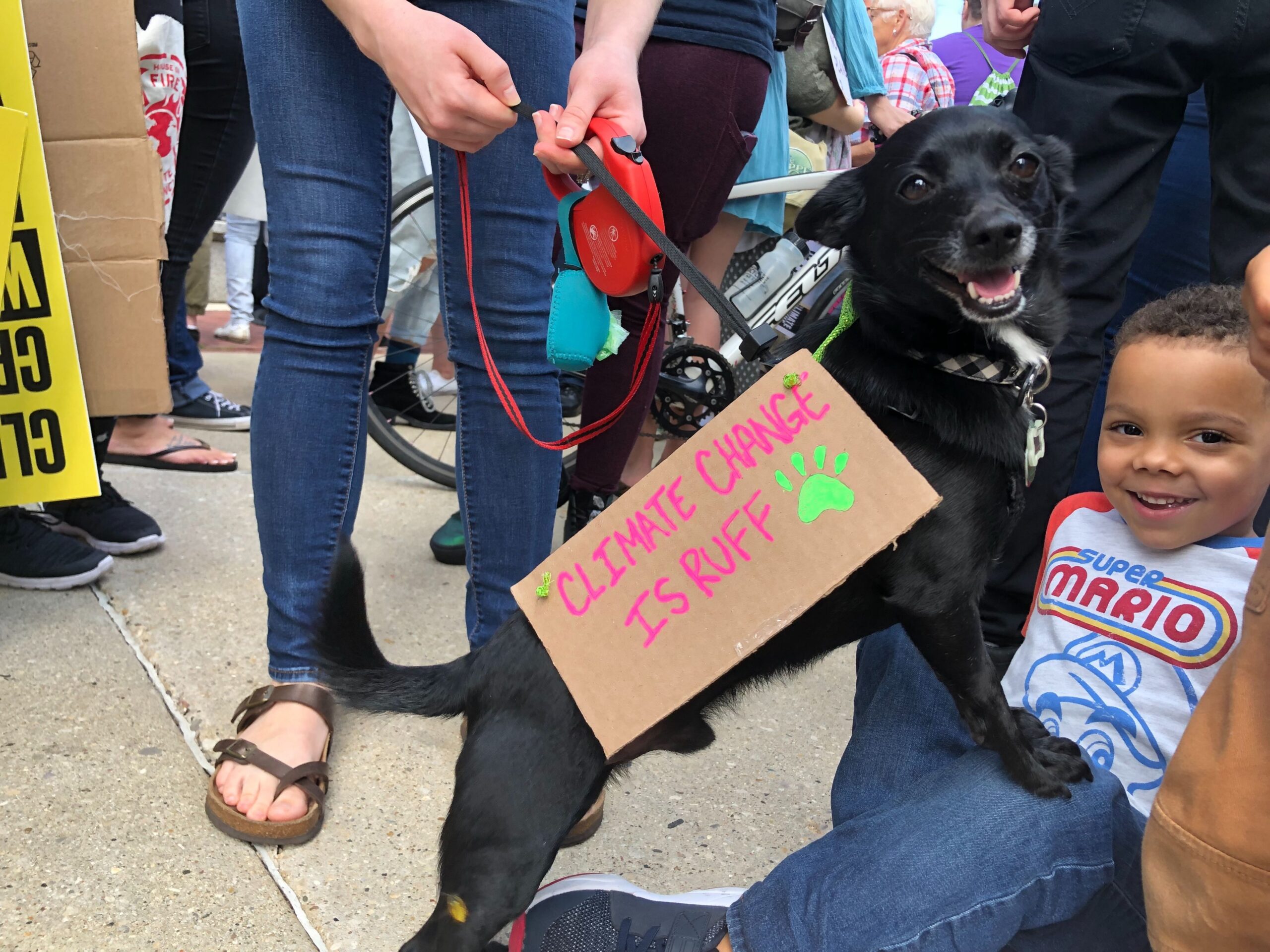 Spike the dog and Oliver at the climate strike