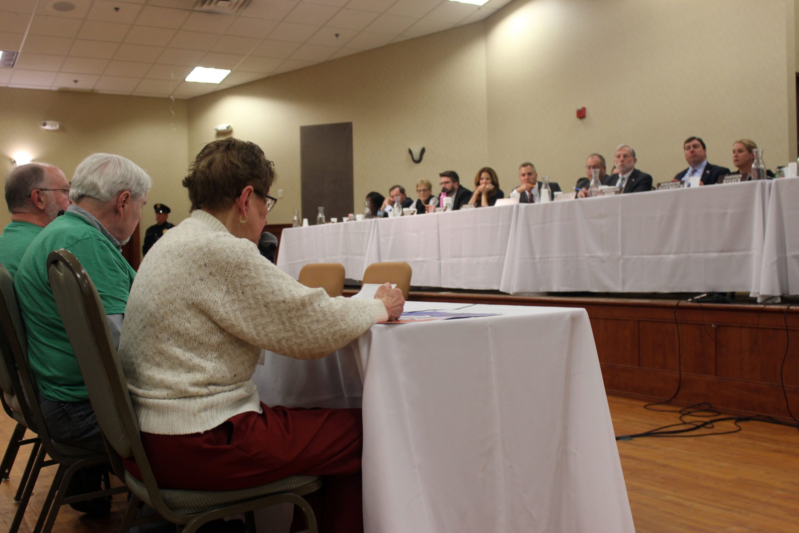 Joanne Kaus testifies at the first public hearing on the state budget