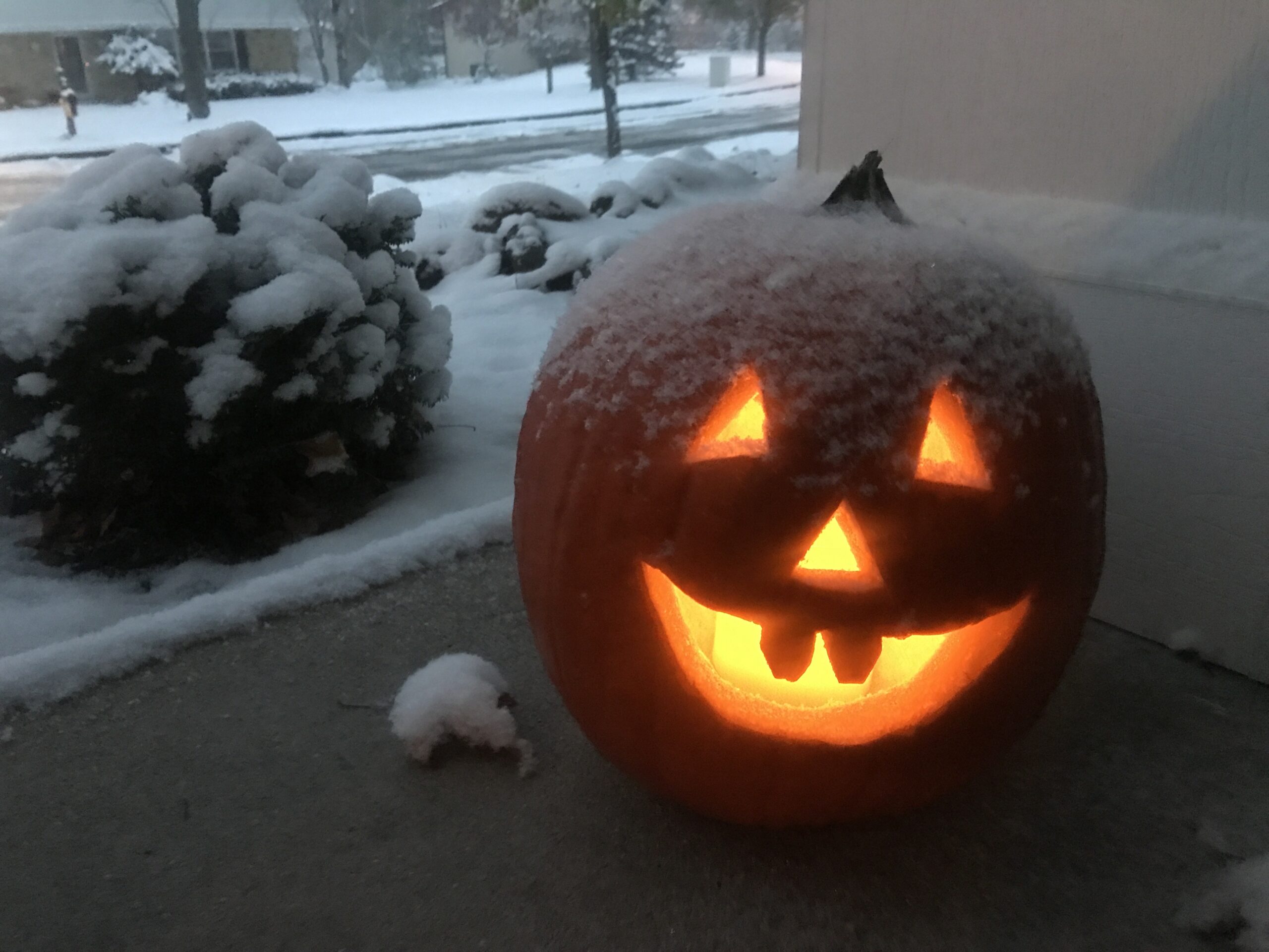 Snow on a pumpkin