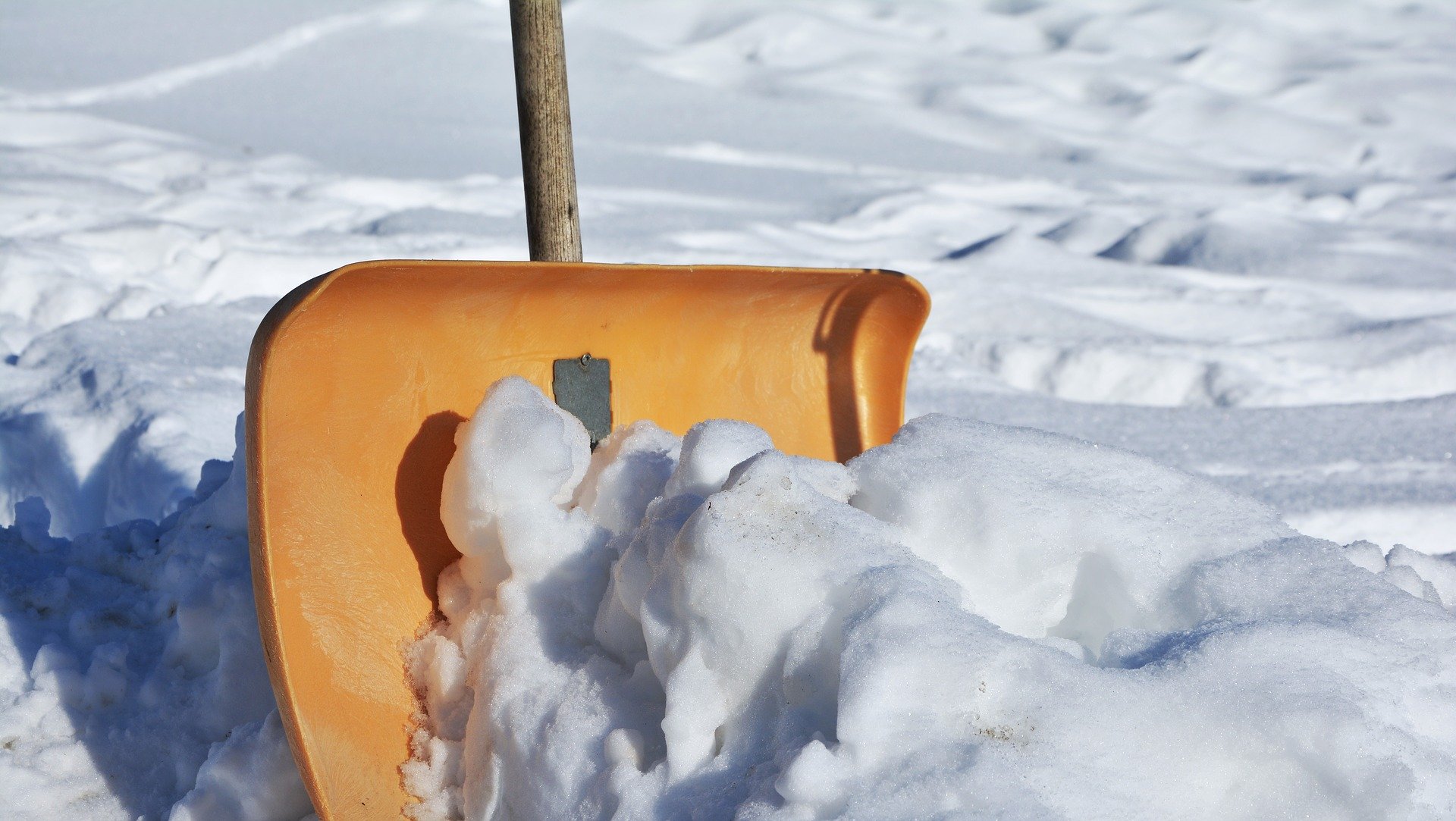 Snow shovel upright in snow bank.