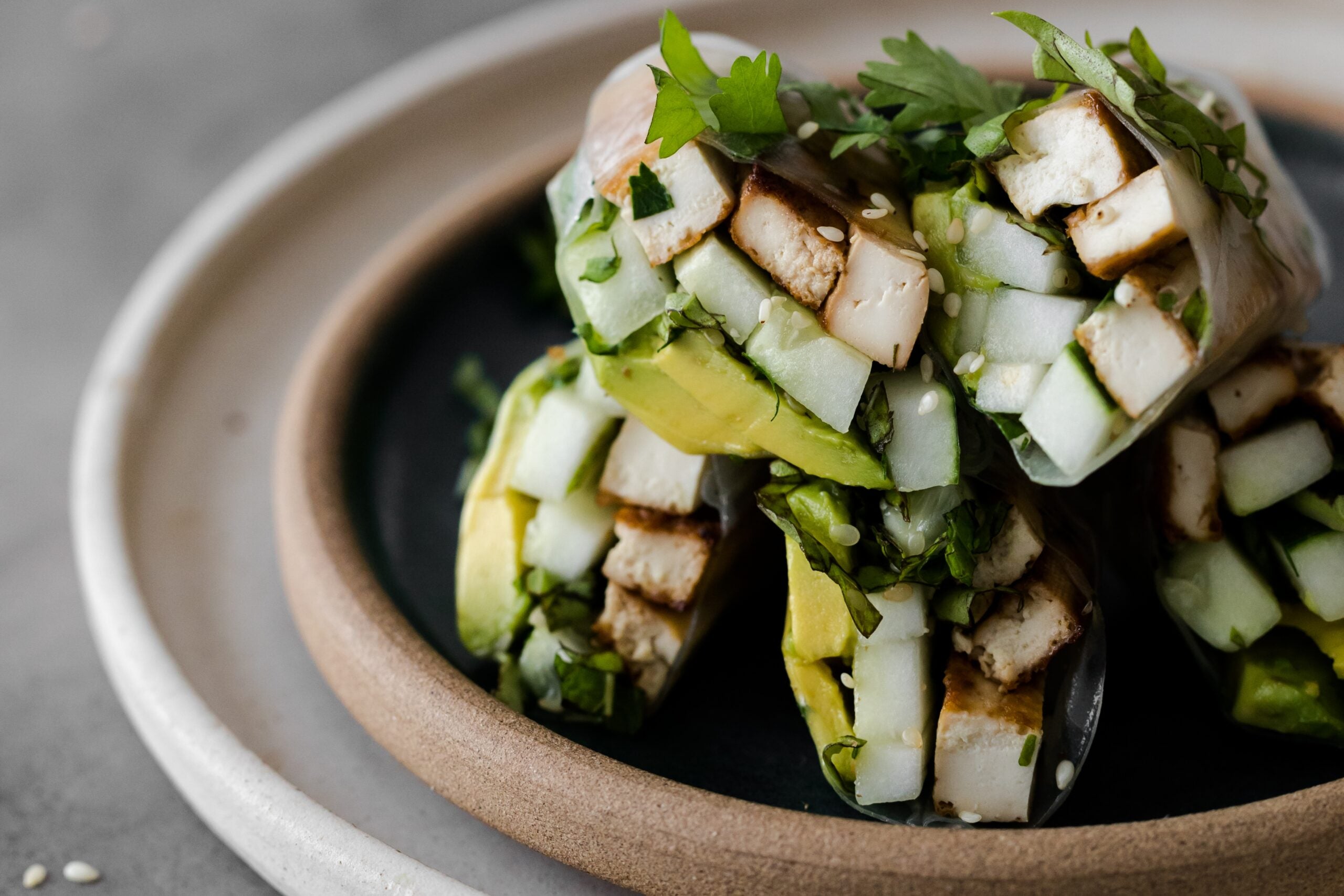 Cucumber Avocado Spring Rolls with Herbs