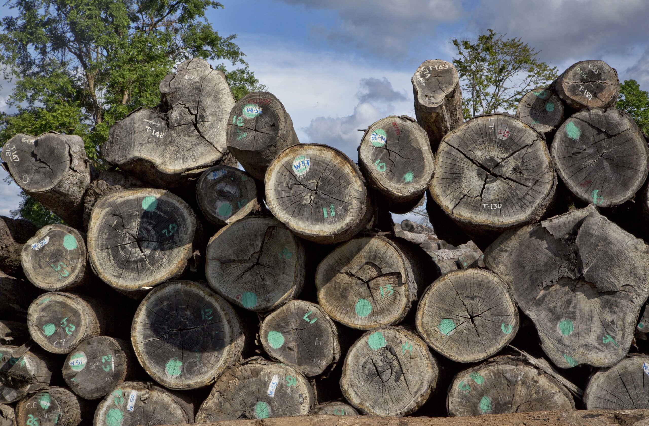Northwoods Loggers Say Federal Help Welcome, Won’t Fill Losses Due To Market Changes