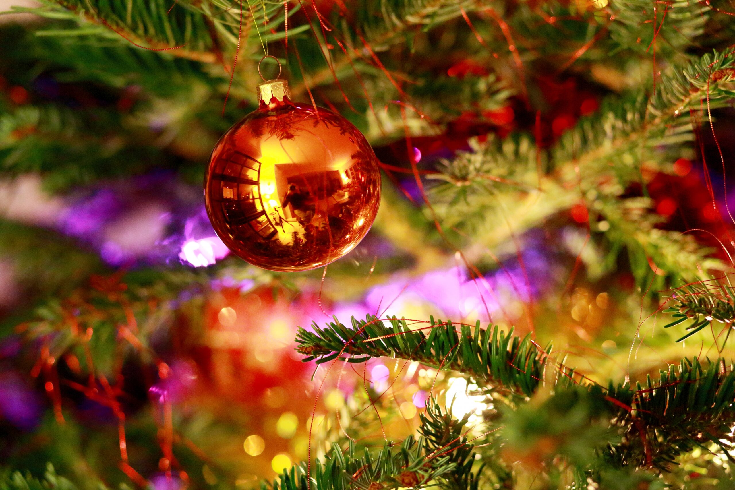 An ornament hangs on a tree