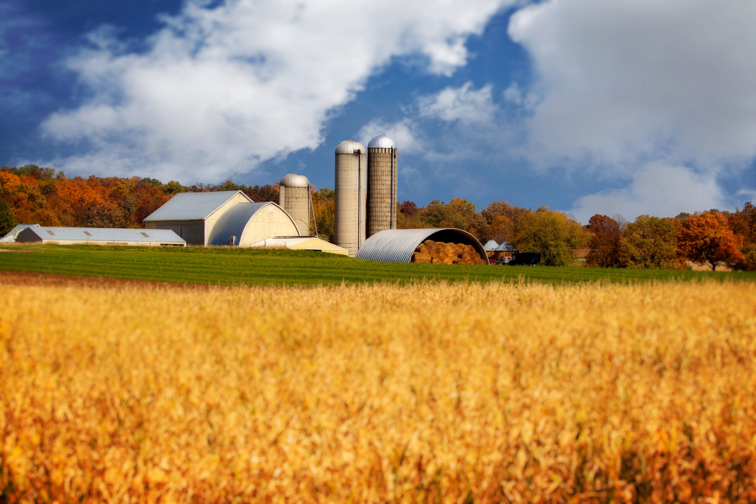 Wisconsin Farm