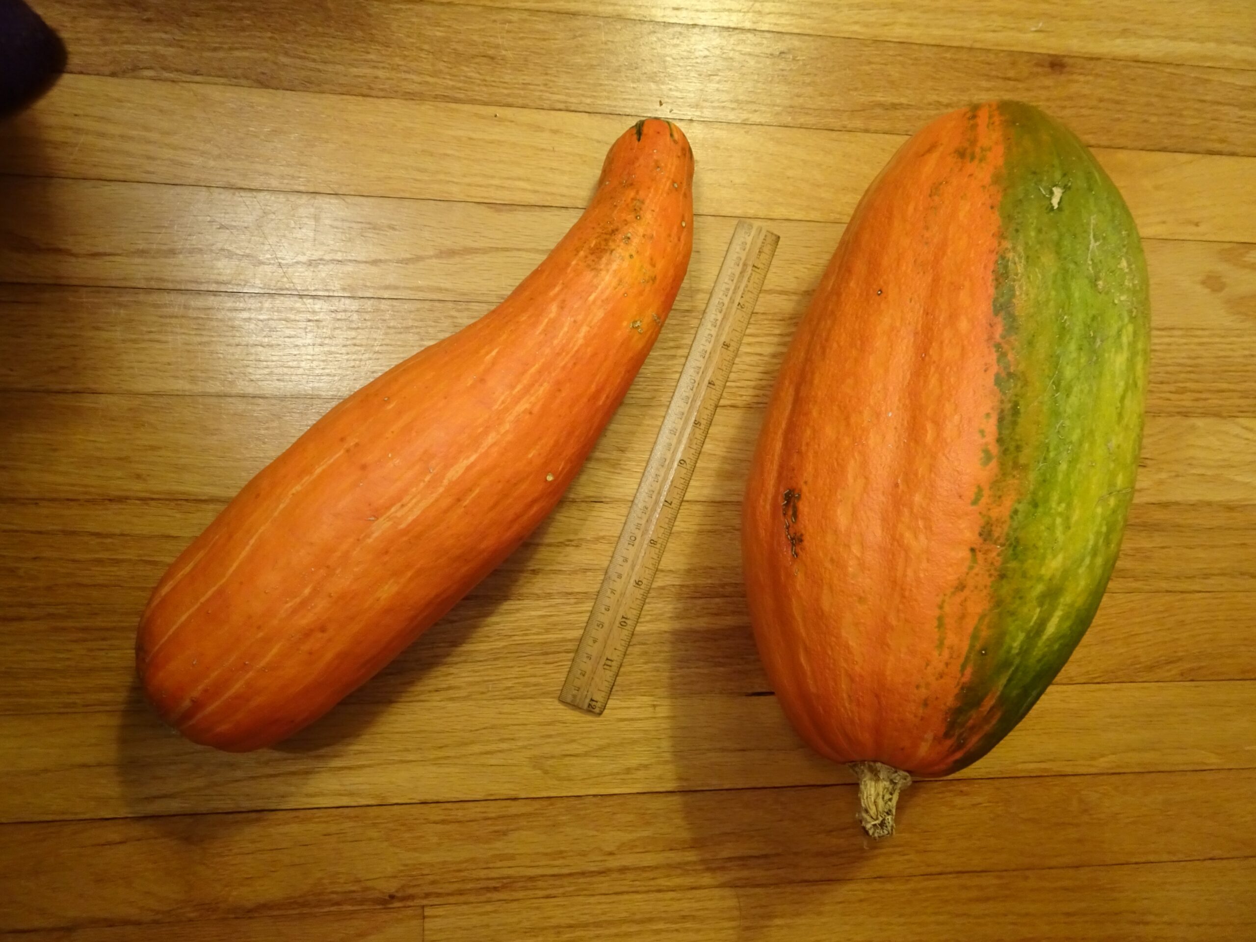 Gete-Okosomin Squash