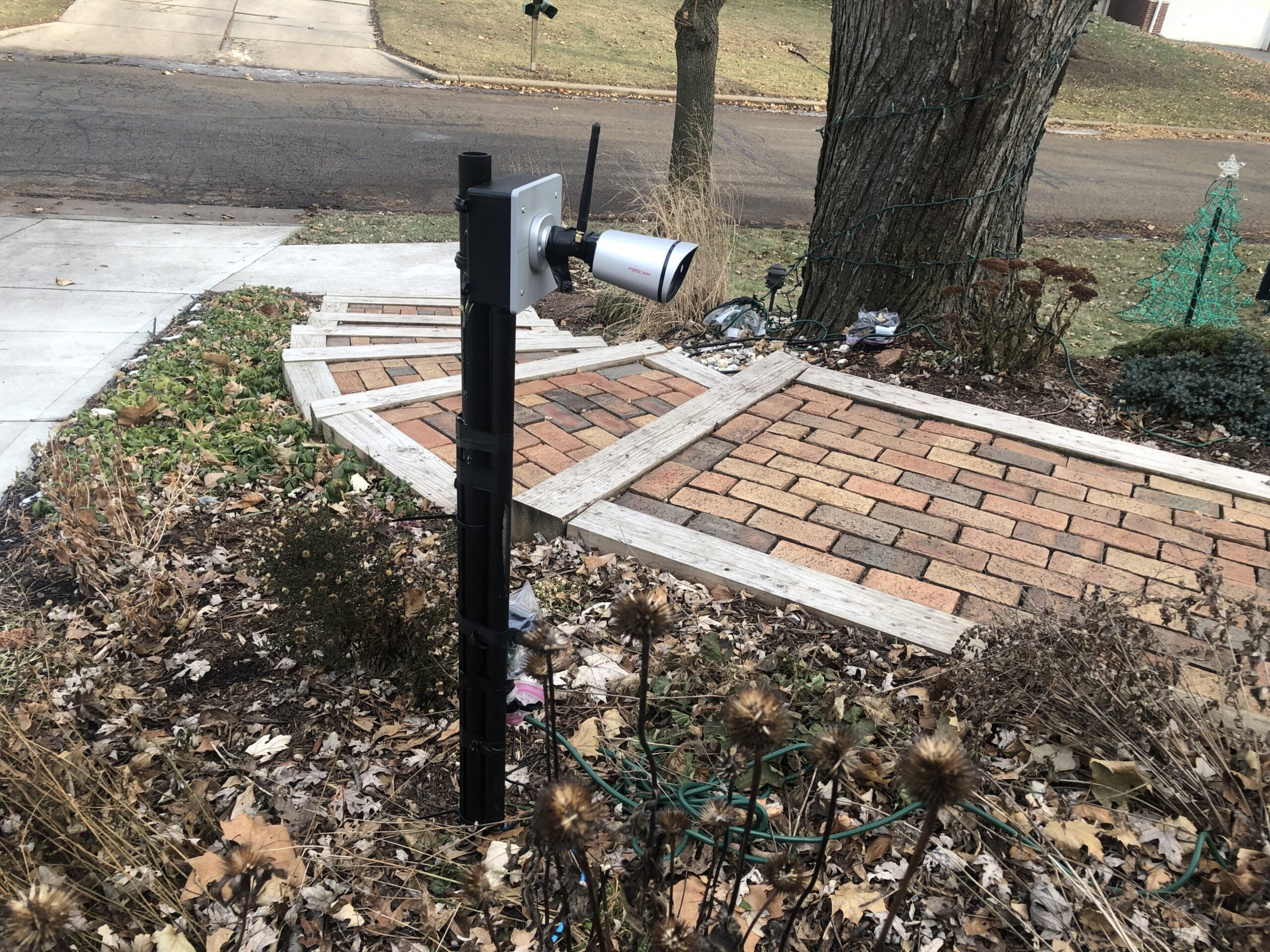 A camera set up in the front yard of Mike Walczak's home sends a live feed to mkelights.com