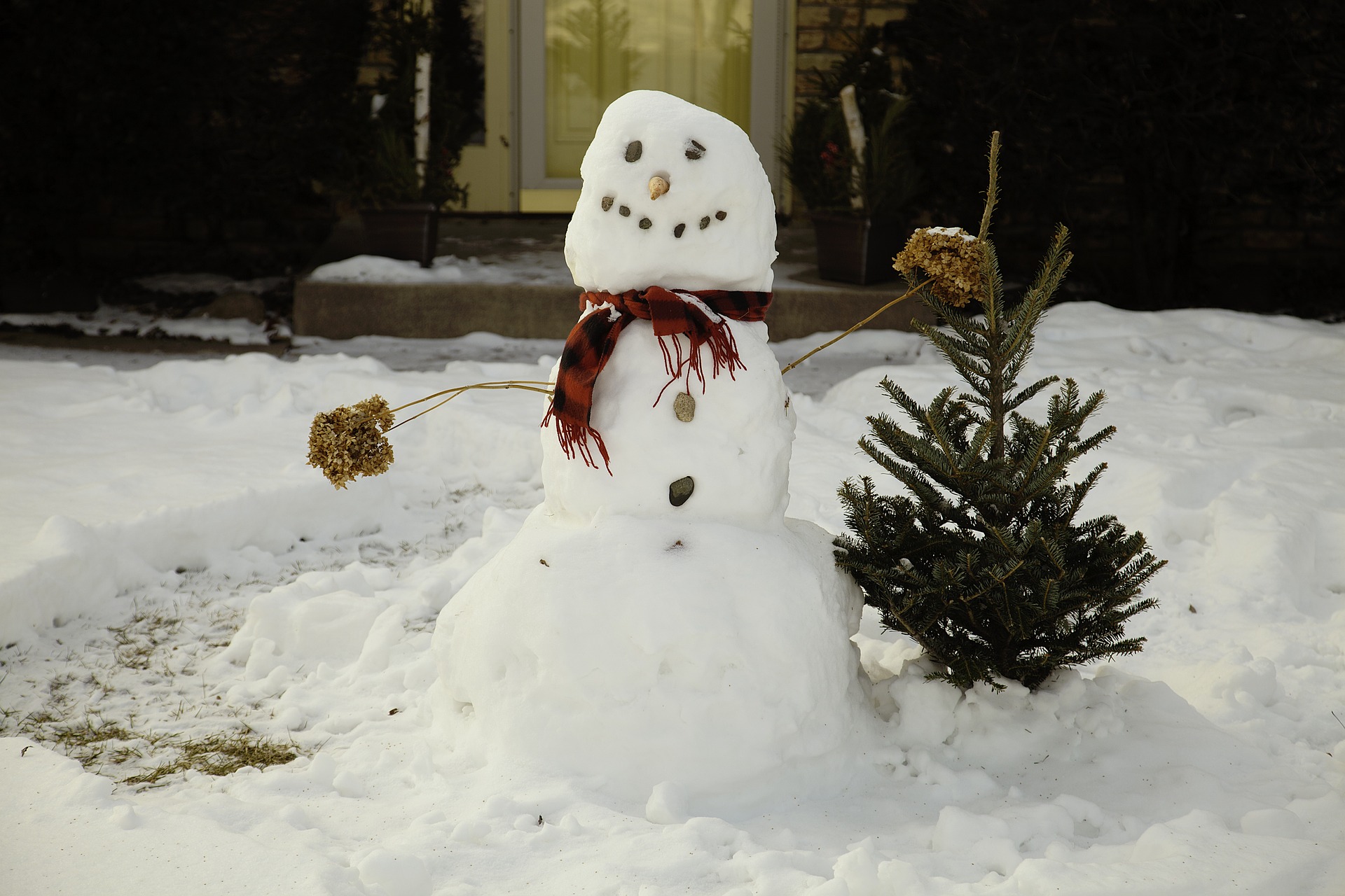 snowman in yard