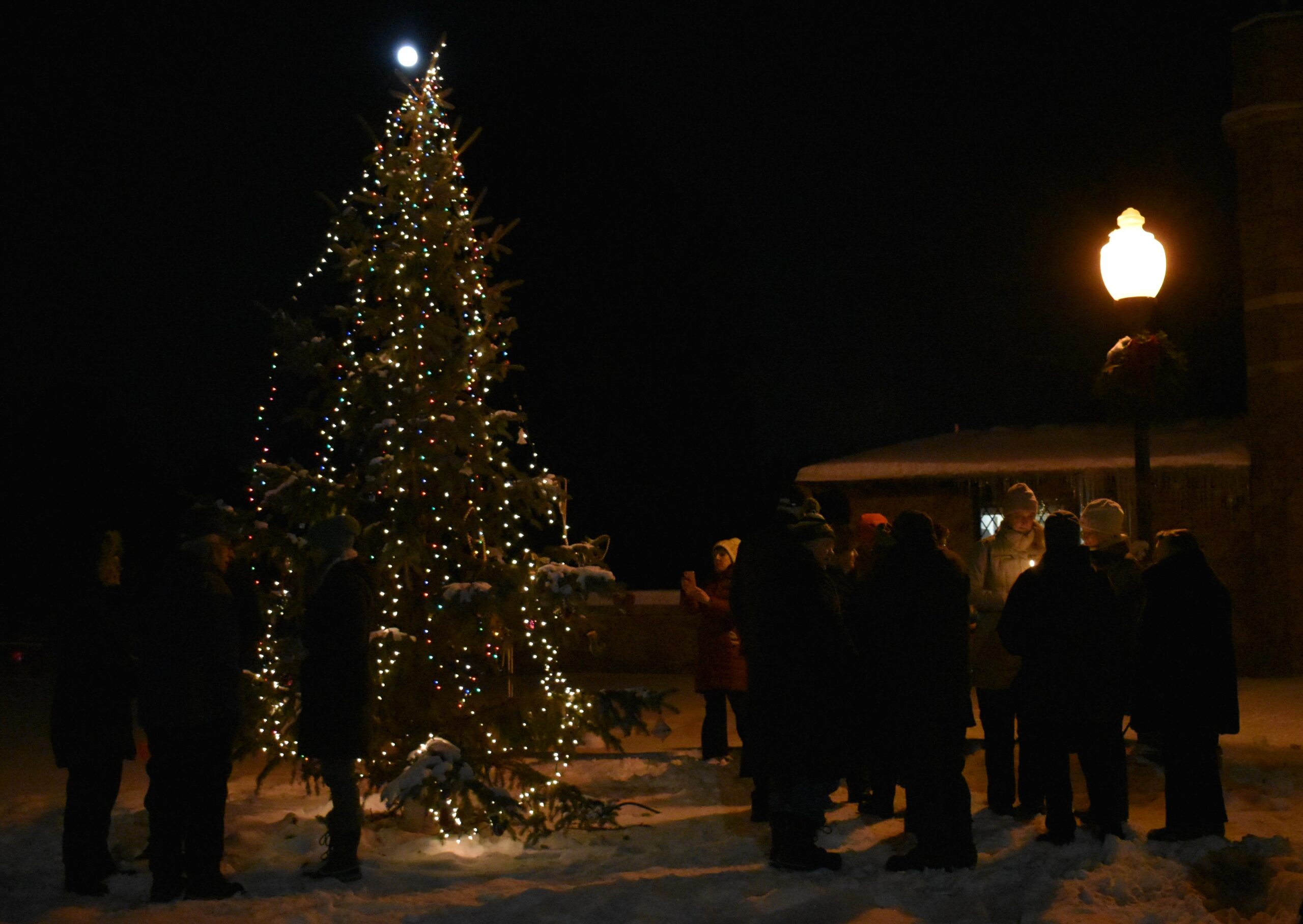 Remembrance tree at Pine Grove Cemetery in Wausau
