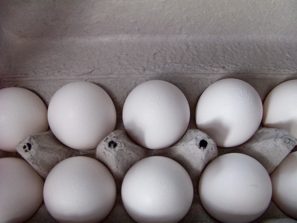 eggs in a carton