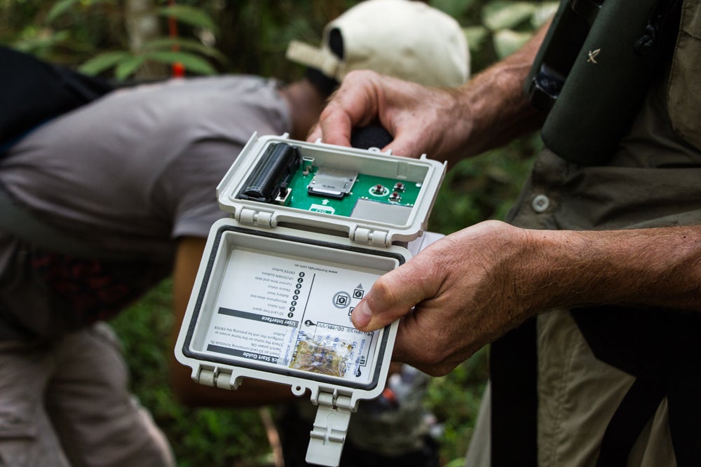 Researchers use recording devices to track the sounds of the rainforest