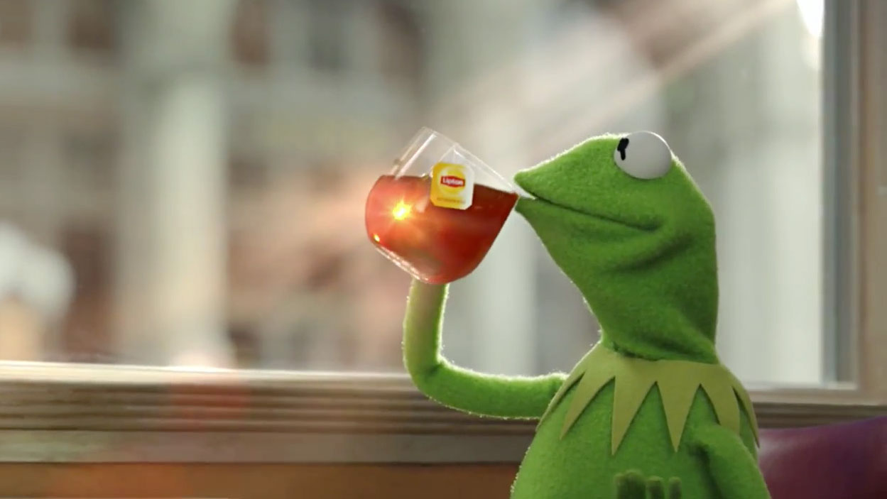 Kermit the frog, sipping the tea meme
