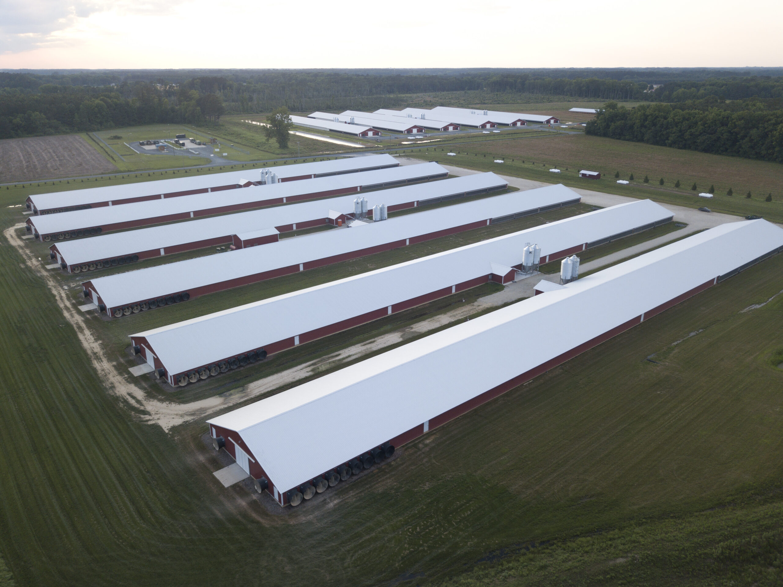 This image shows rows of chicken houses at the Summer's Rest Farm in Watchapreague, Va