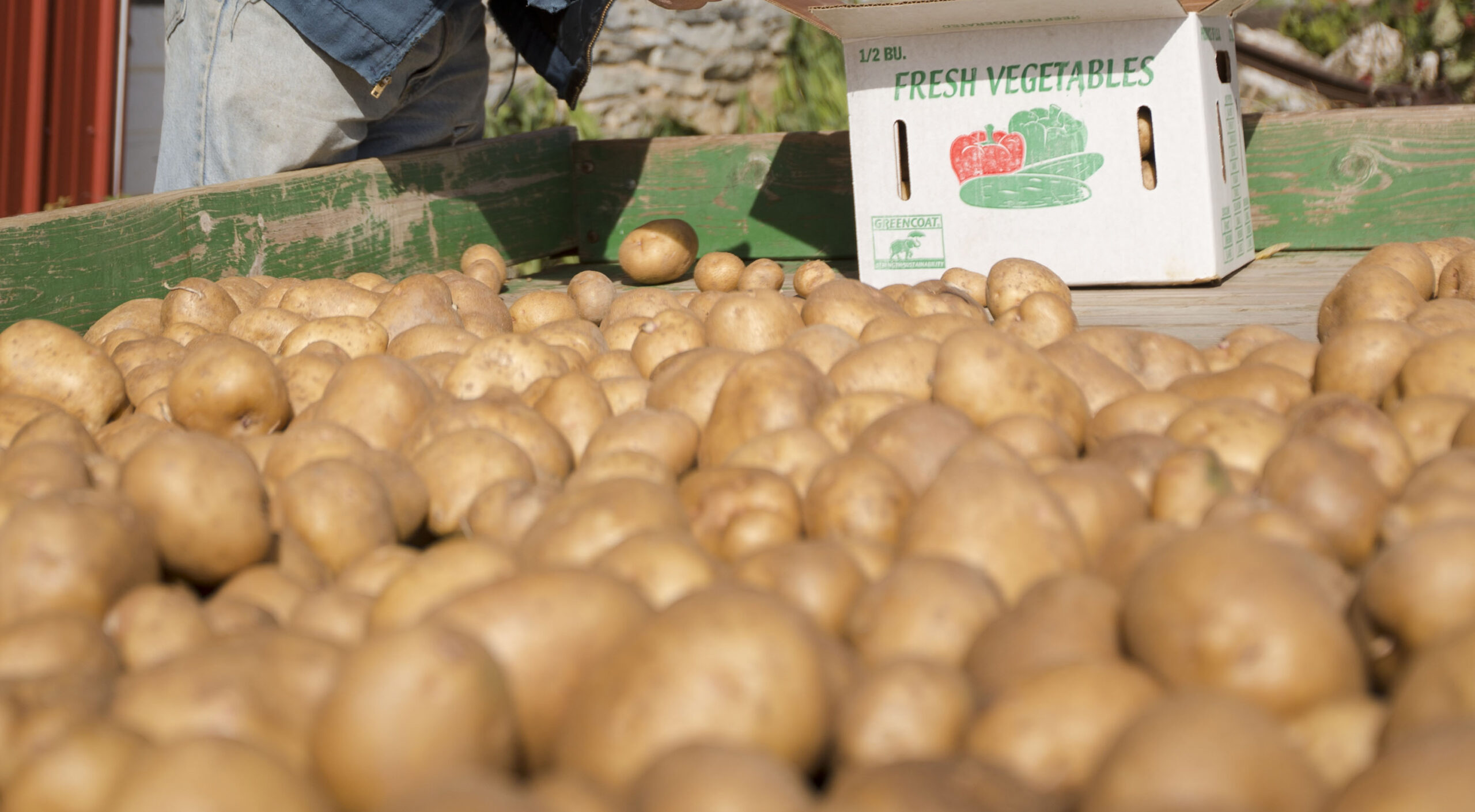 Heat slows harvest of Wisconsin potato crop, farmers worry about rot