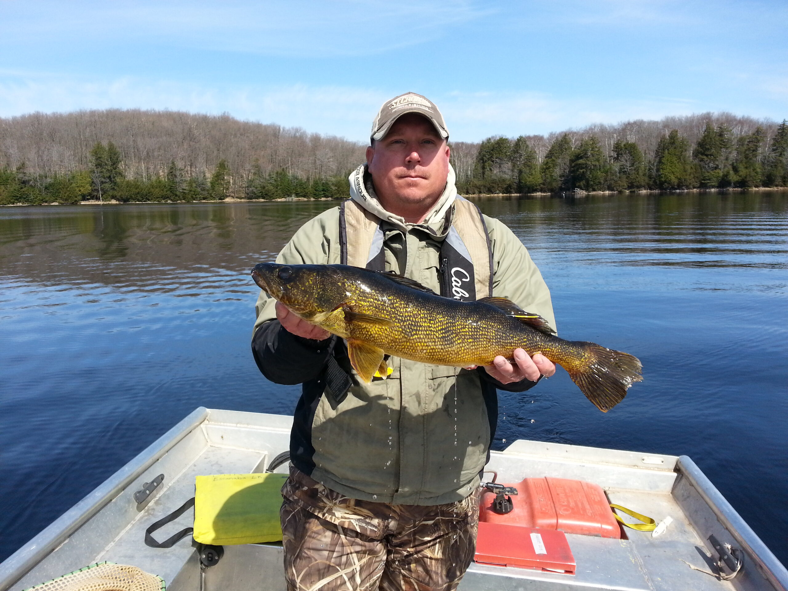 walleye