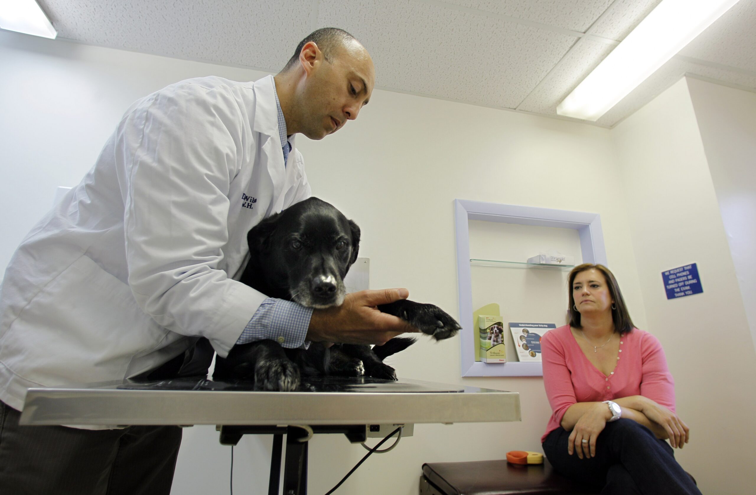 With Maintaining Care In Mind, Veterinarians Adjust Practices During Coronavirus Pandemic
