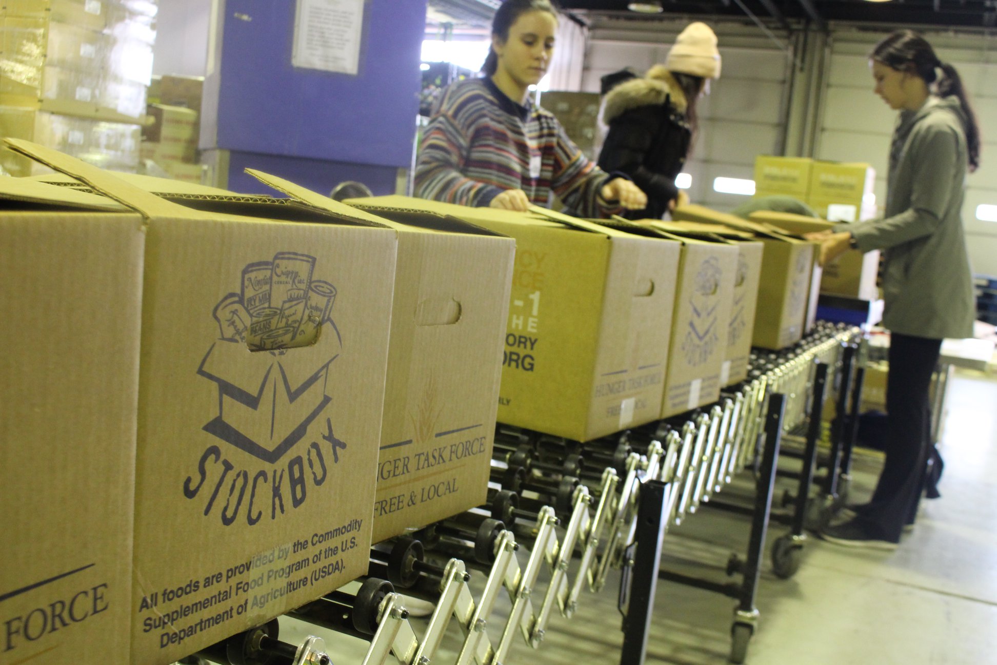 Volunteers pack boxes of food
