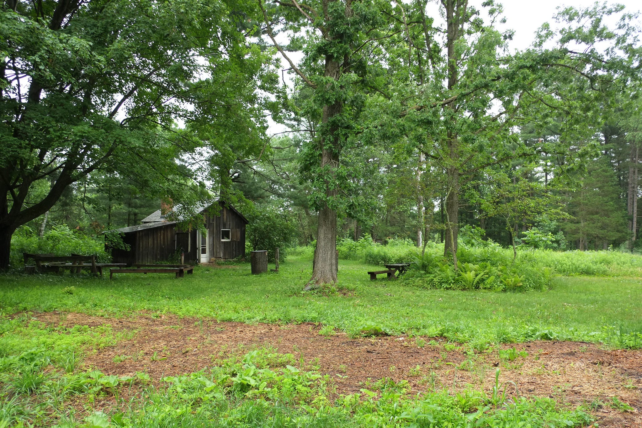 Aldo Leopold's Shack