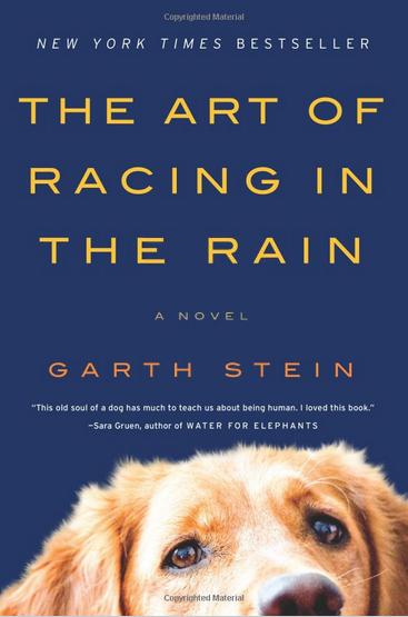 Cover photo of The Art of Racing In The Rain