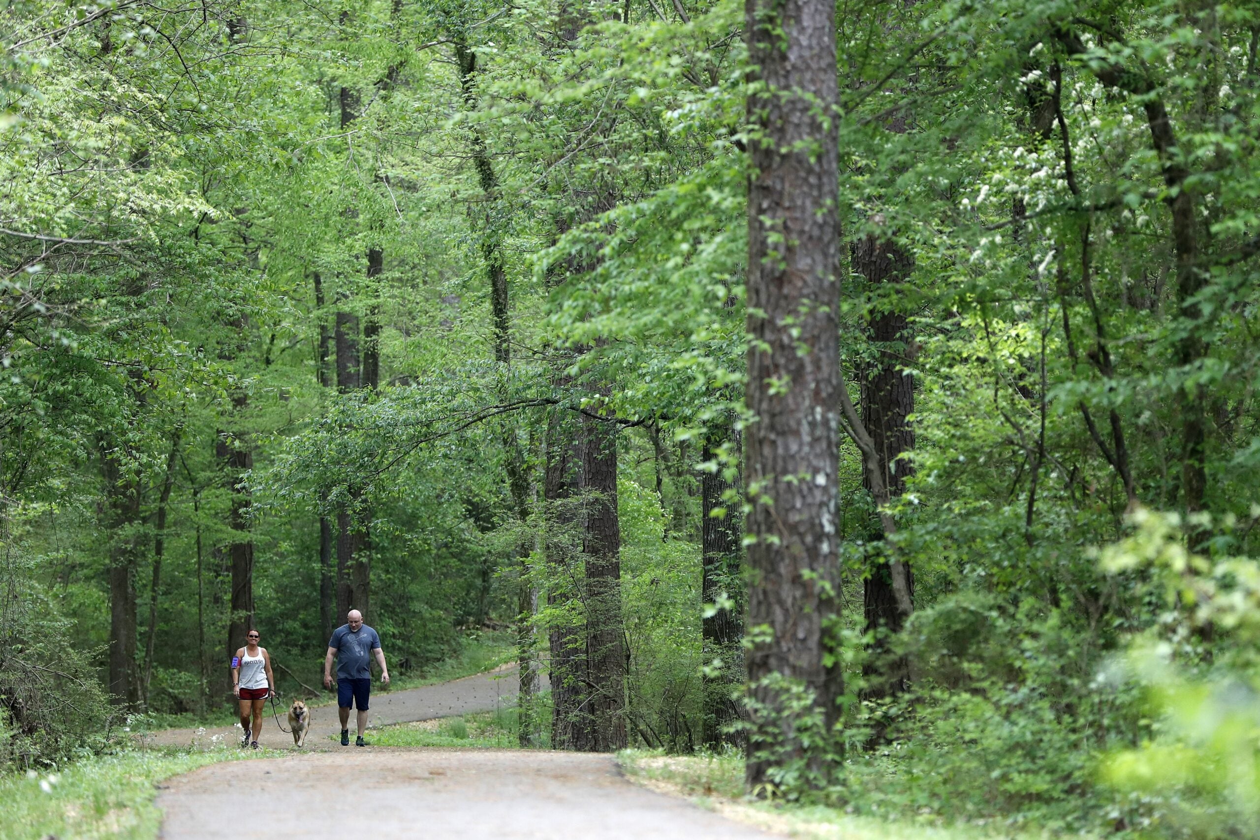 A couple walks with a dog