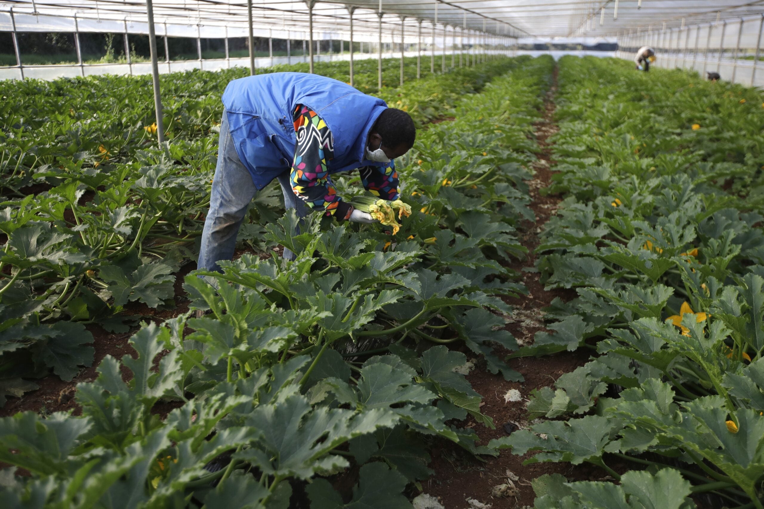 Advocates Raise Alarm About Migrant Worker Safety Amid COVID-19