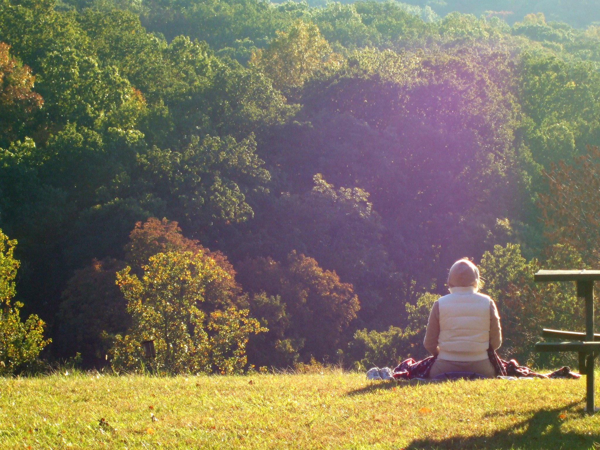 A person meditating outdoors