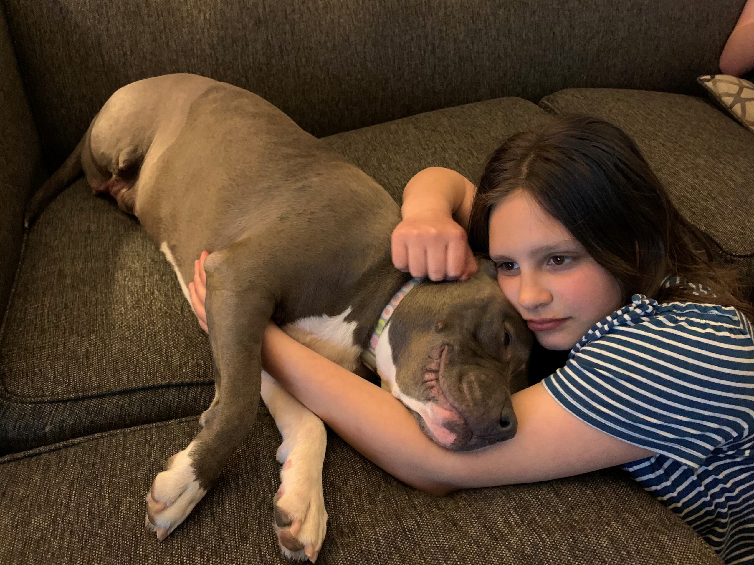 A young girl snuggles with a gray dog who is missing one of her back legs.
