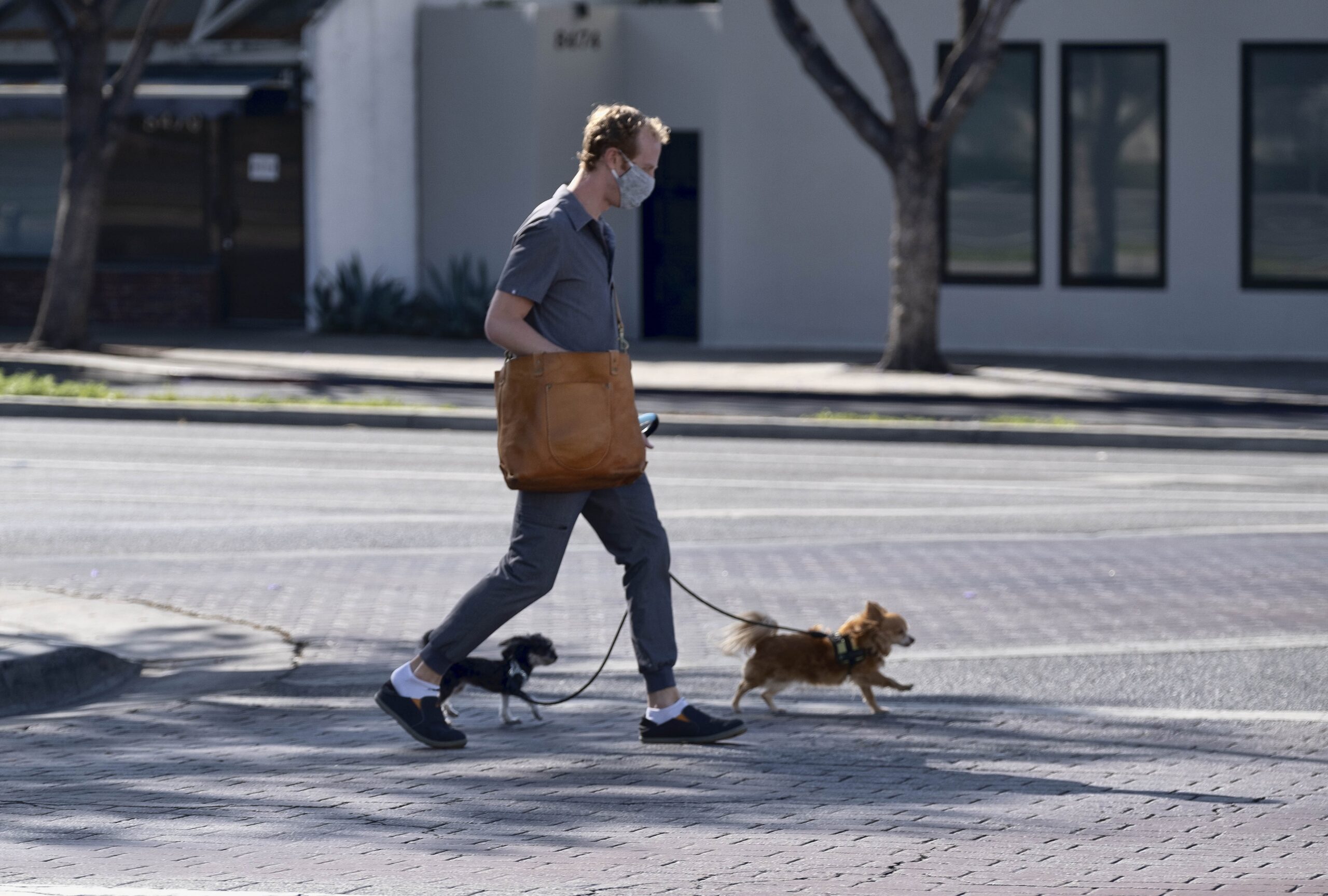 A man wearing a protective mask crosses a street with his dogs in West Hollywood