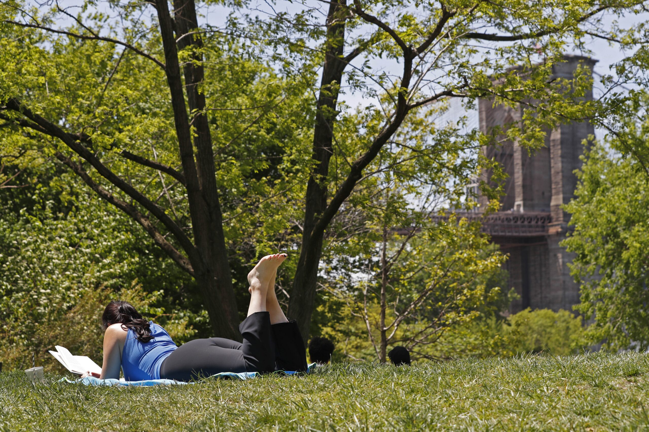 A woman reads a book while lying in the grass