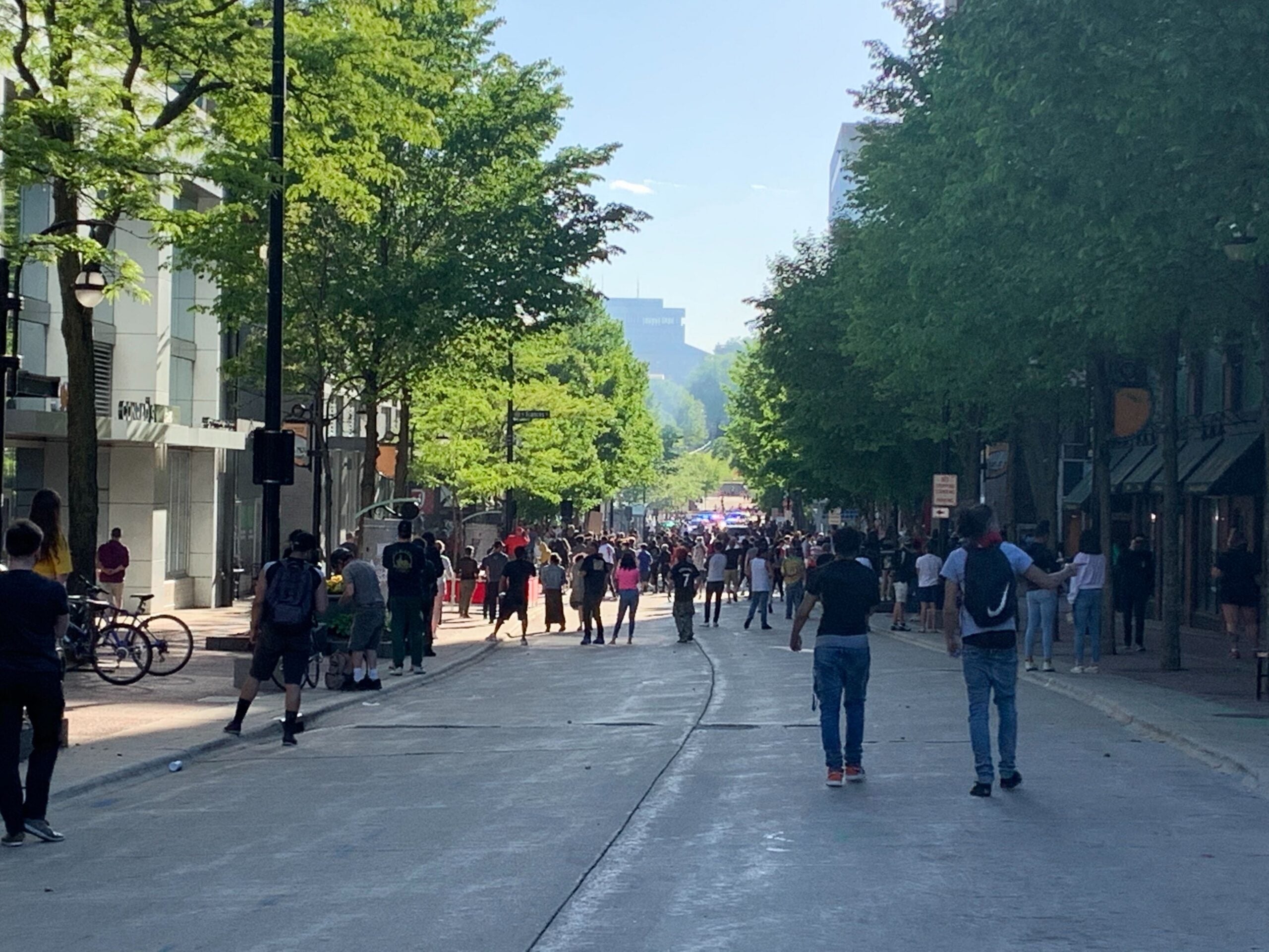Protesters on State Street