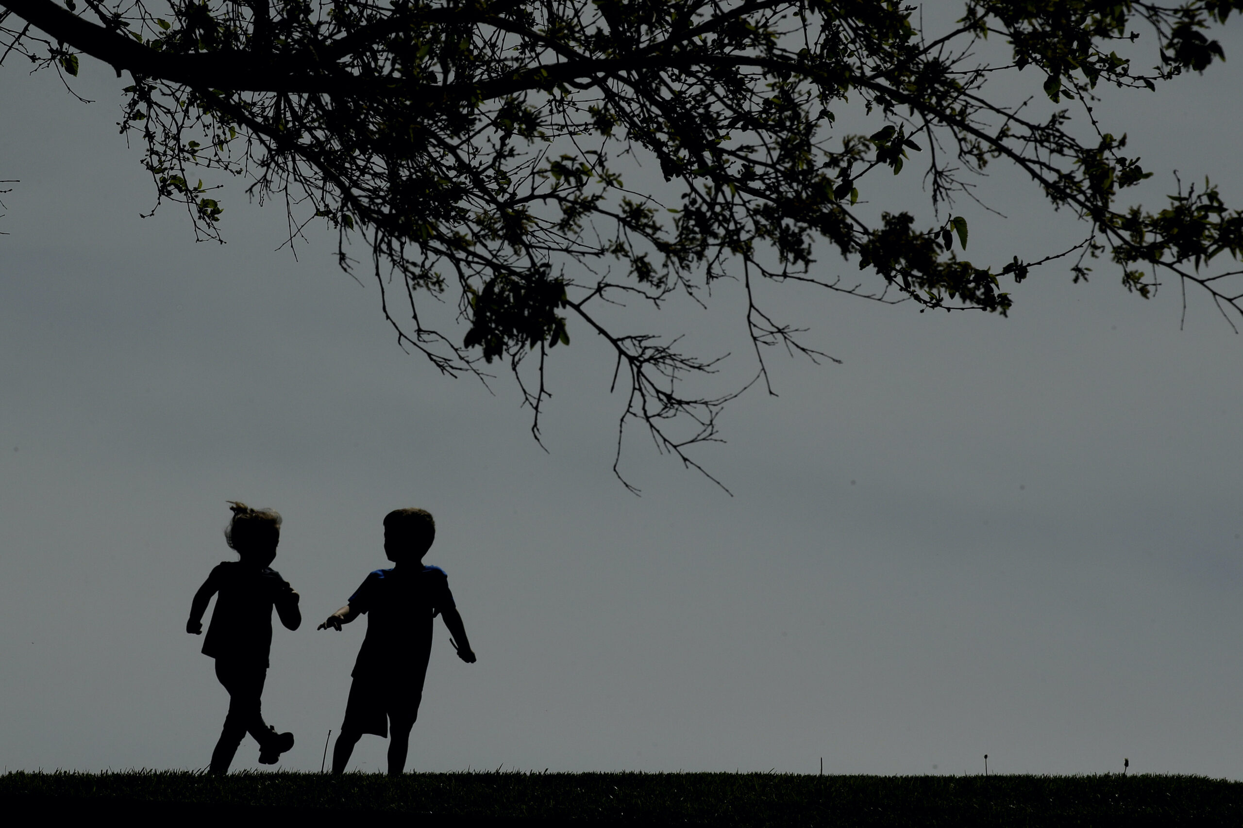 Kids running near a tree.