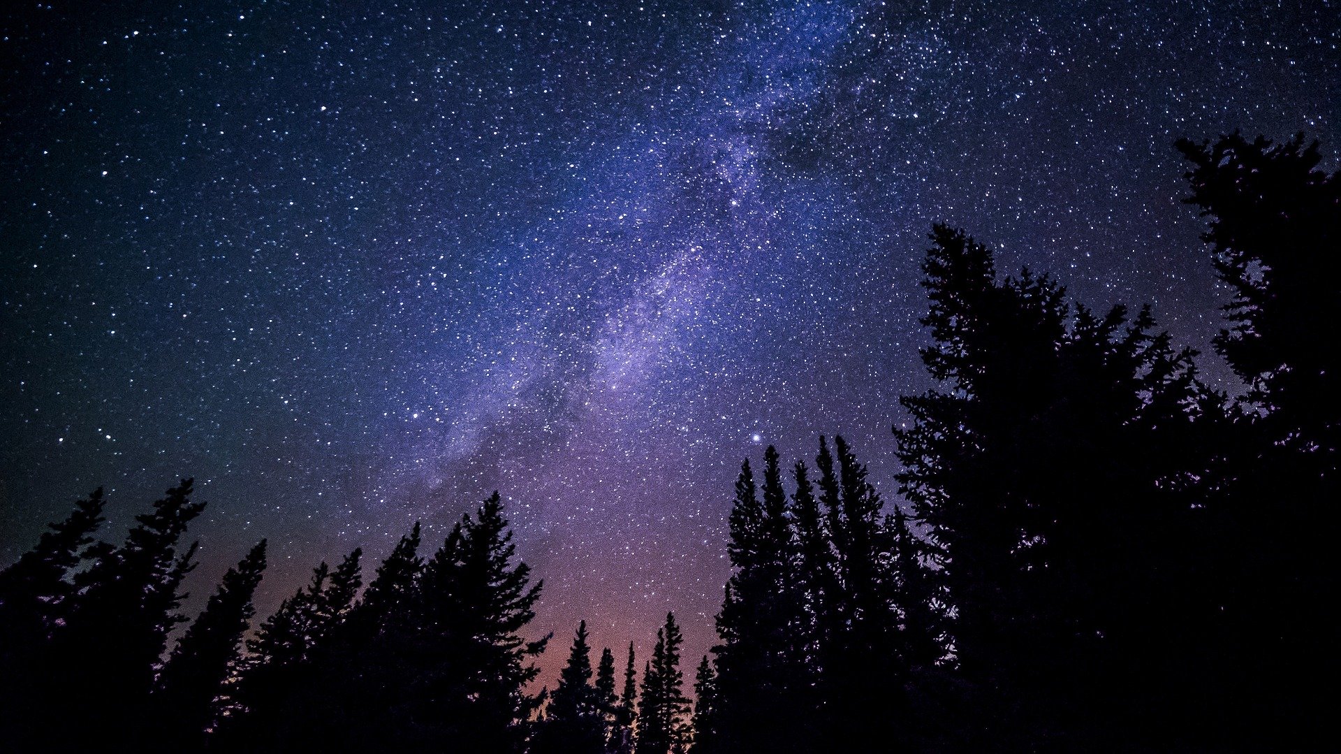 The Milky Way framed by evergreen trees.
