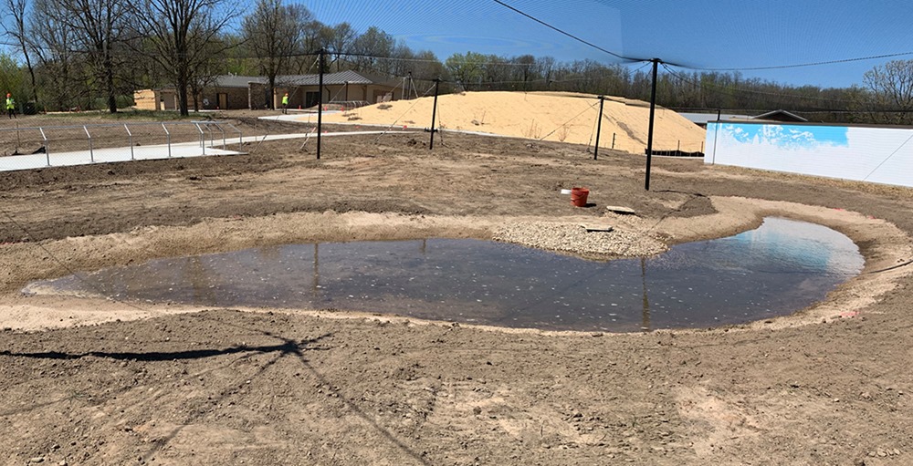 A pond is being filled in a new exhibit for the sarus crane — the world's tallest flying bird