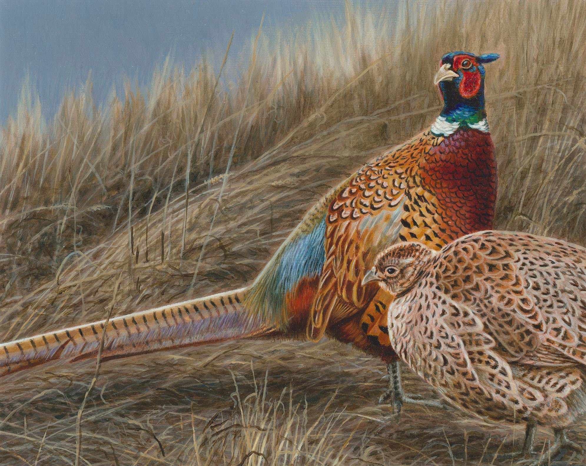 Brian Kuether is the winner of the 2020 pheasant stamp contest